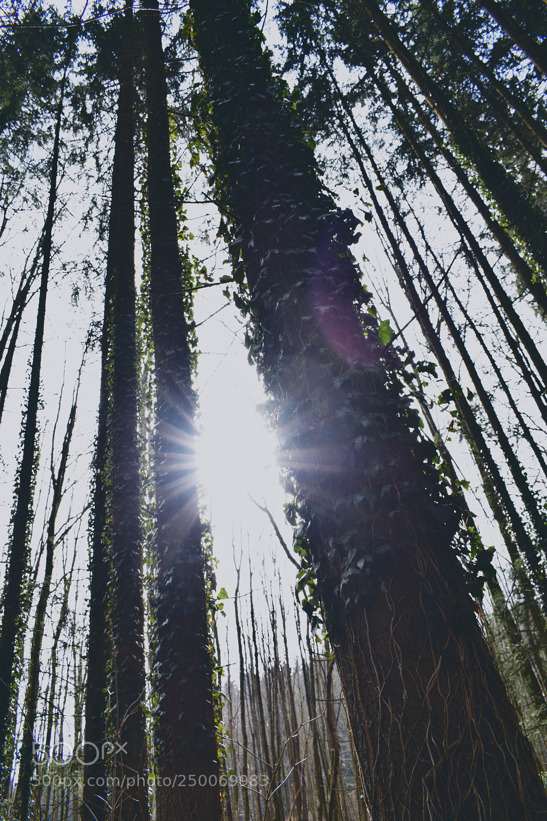 Nikon D3300 sample photo. So. bright. photography