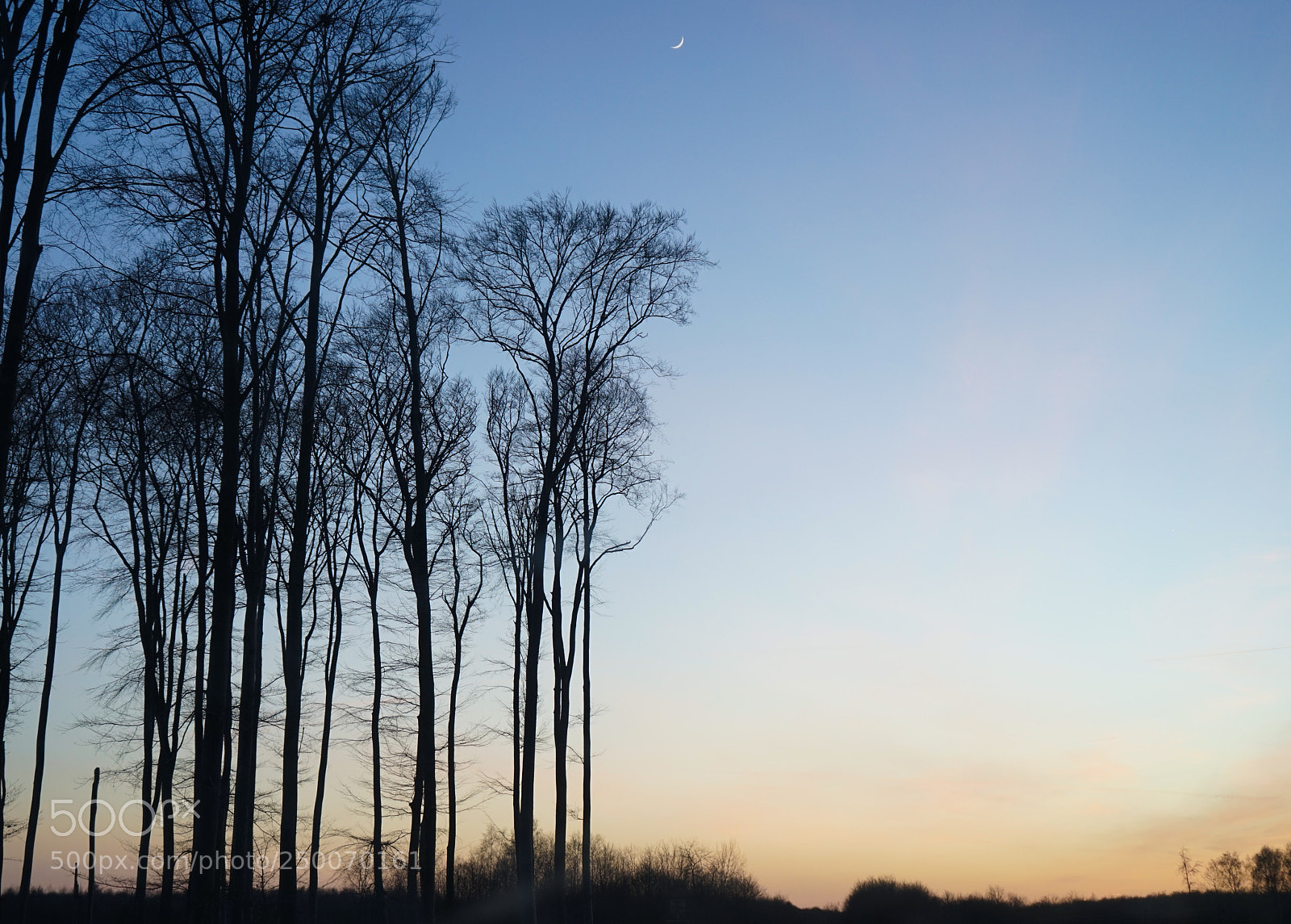 Sony a7 sample photo. Untitled photography