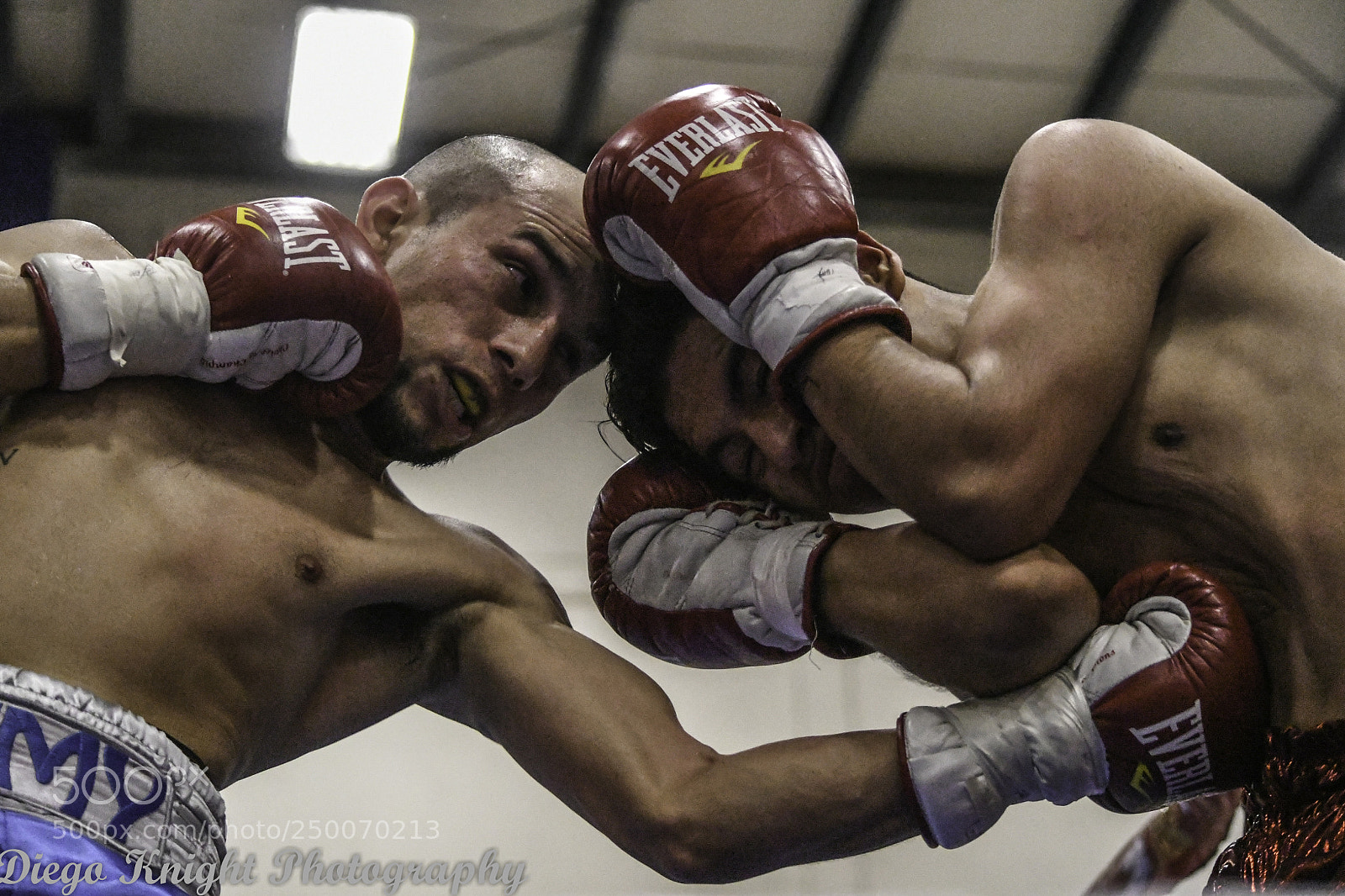 Nikon D500 sample photo. The punch photography