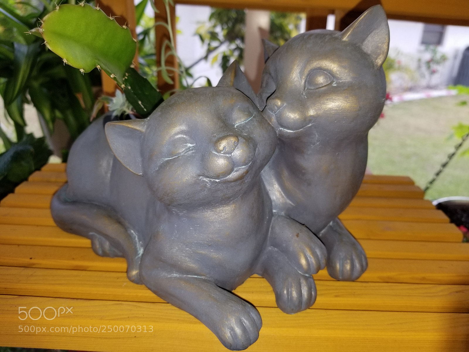 Samsung Galaxy S8+ sample photo. Two little kitties in photography