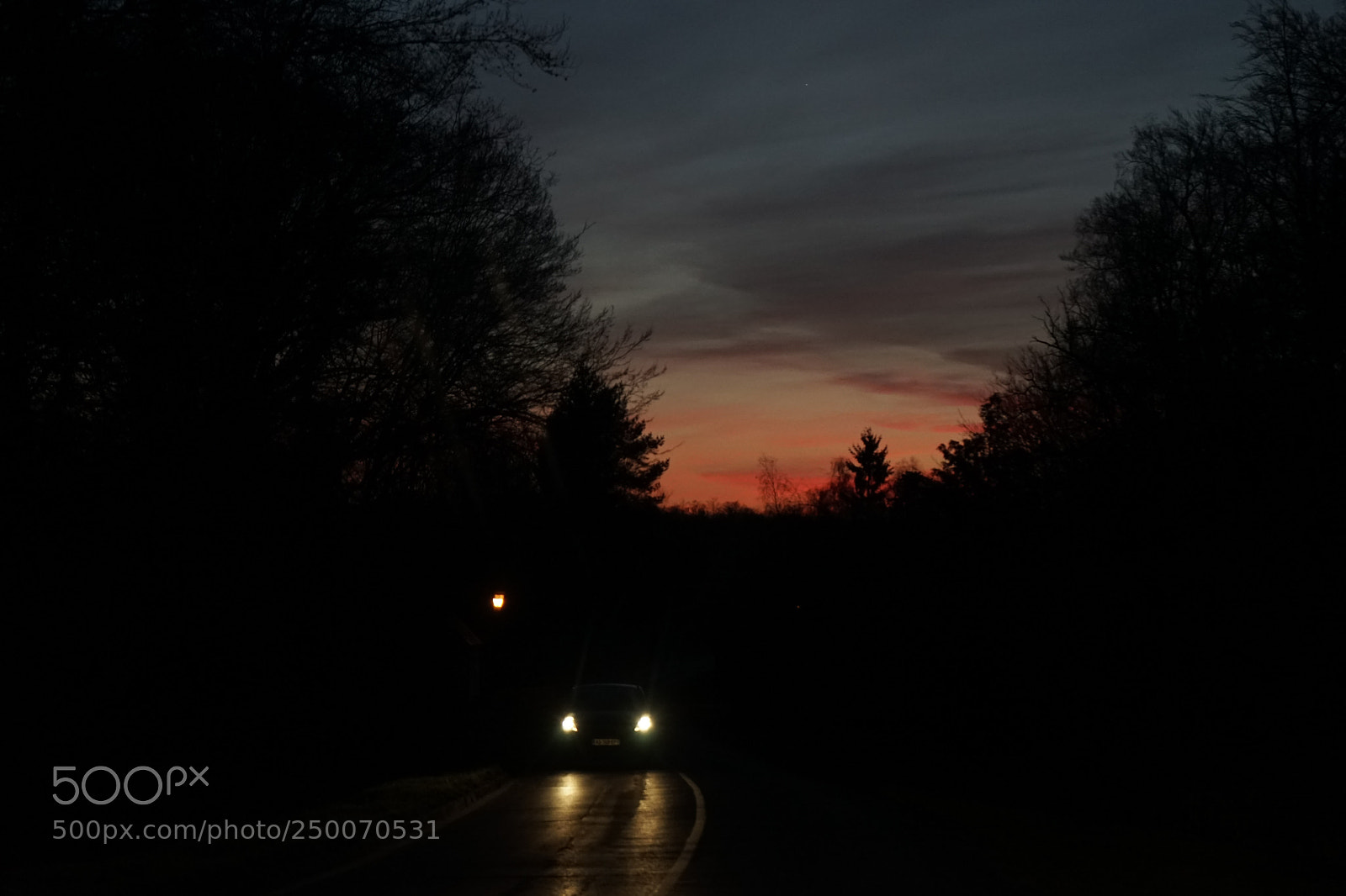 Sony a7 sample photo. Untitled photography