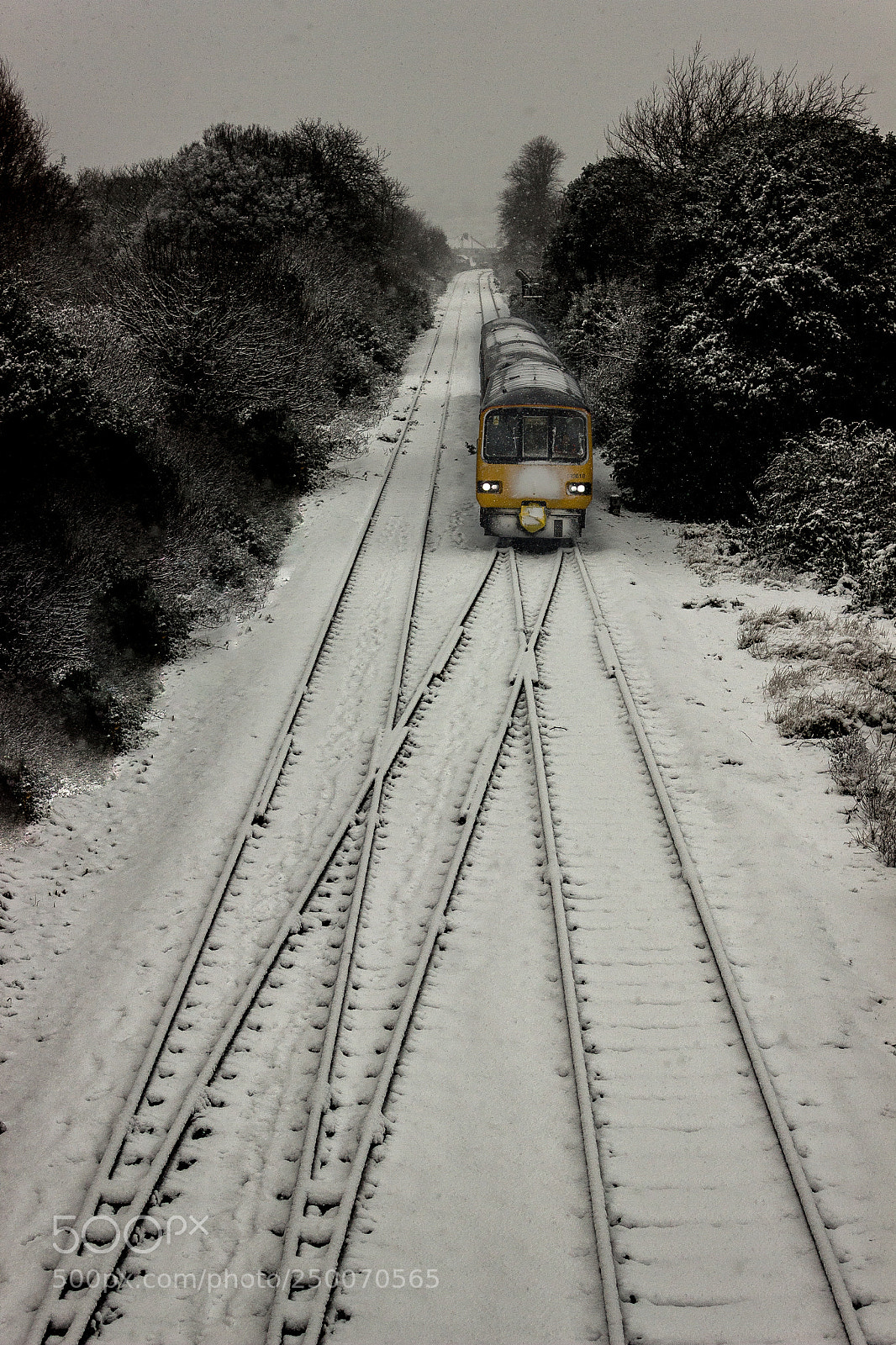 Canon EOS 600D (Rebel EOS T3i / EOS Kiss X5) sample photo. Train in snow photography