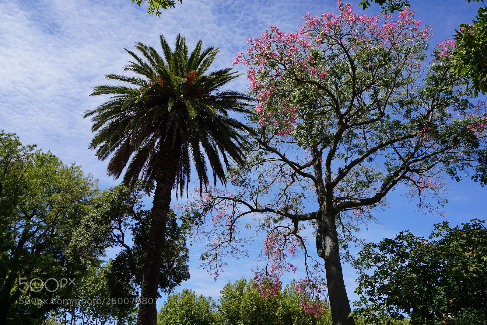 Sony a6000 sample photo. Colonia del sacramento uruguay photography