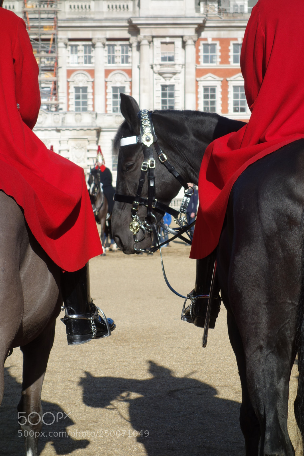 Sony Cyber-shot DSC-RX100 sample photo. The guards horse photography