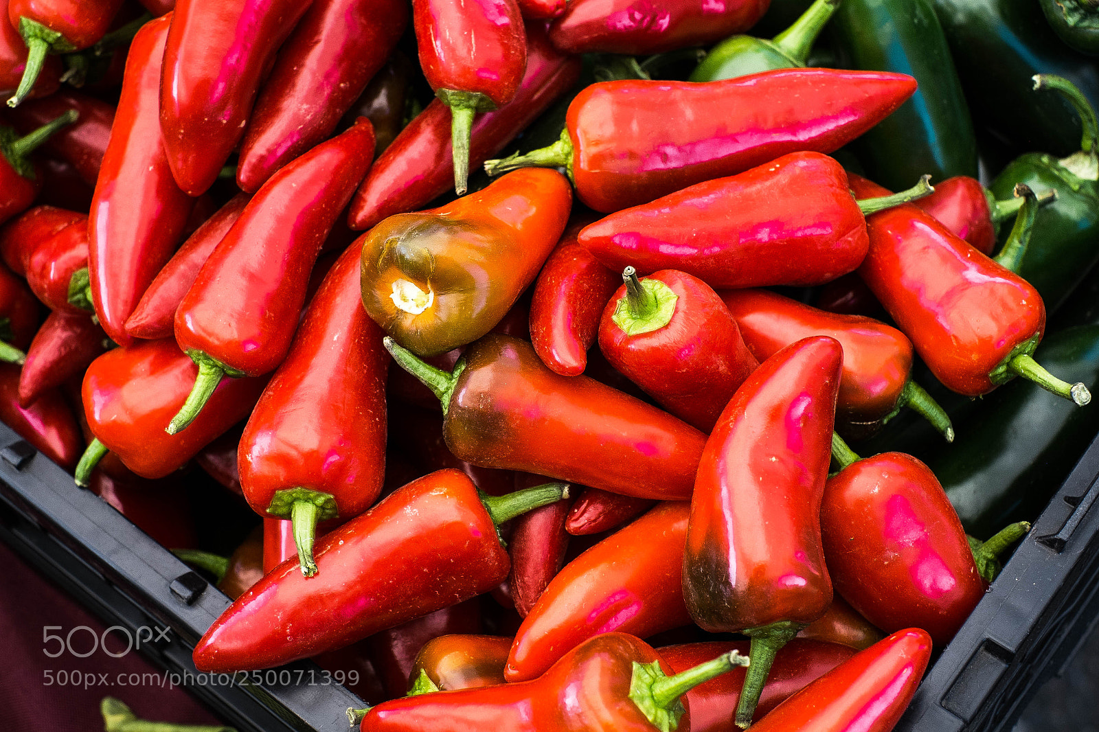 Fujifilm X-Pro1 sample photo. Fresno peppers photography