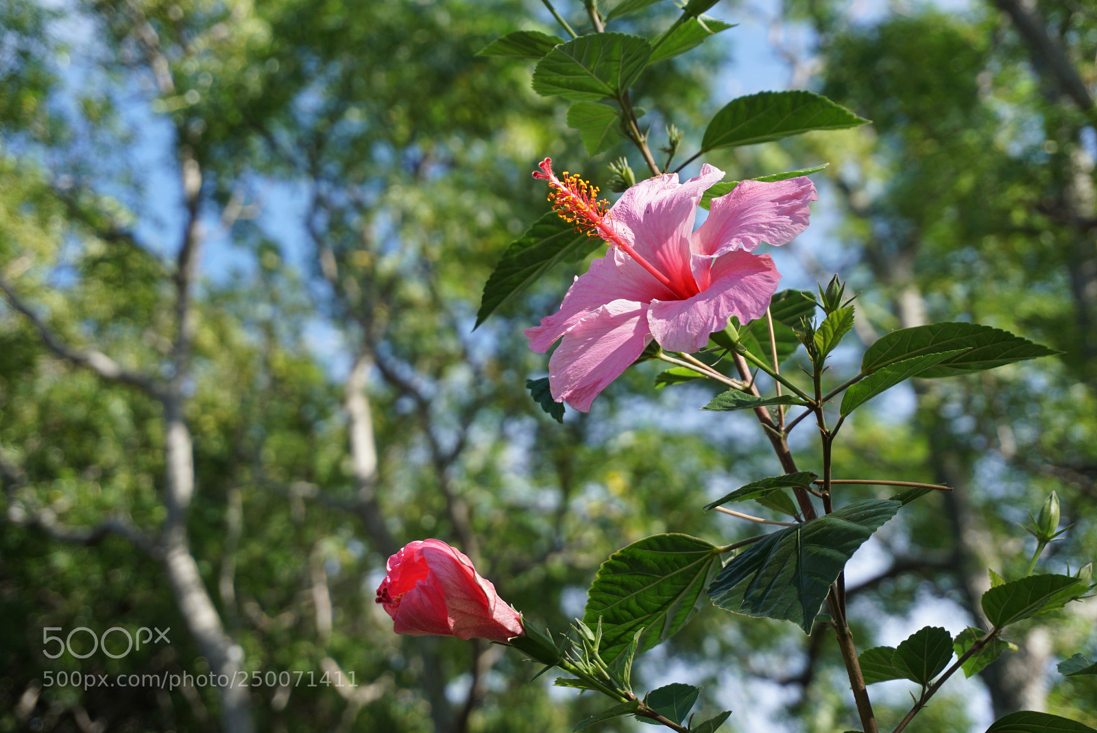 Sony a6000 sample photo. Colonia del sacramento uruguay photography