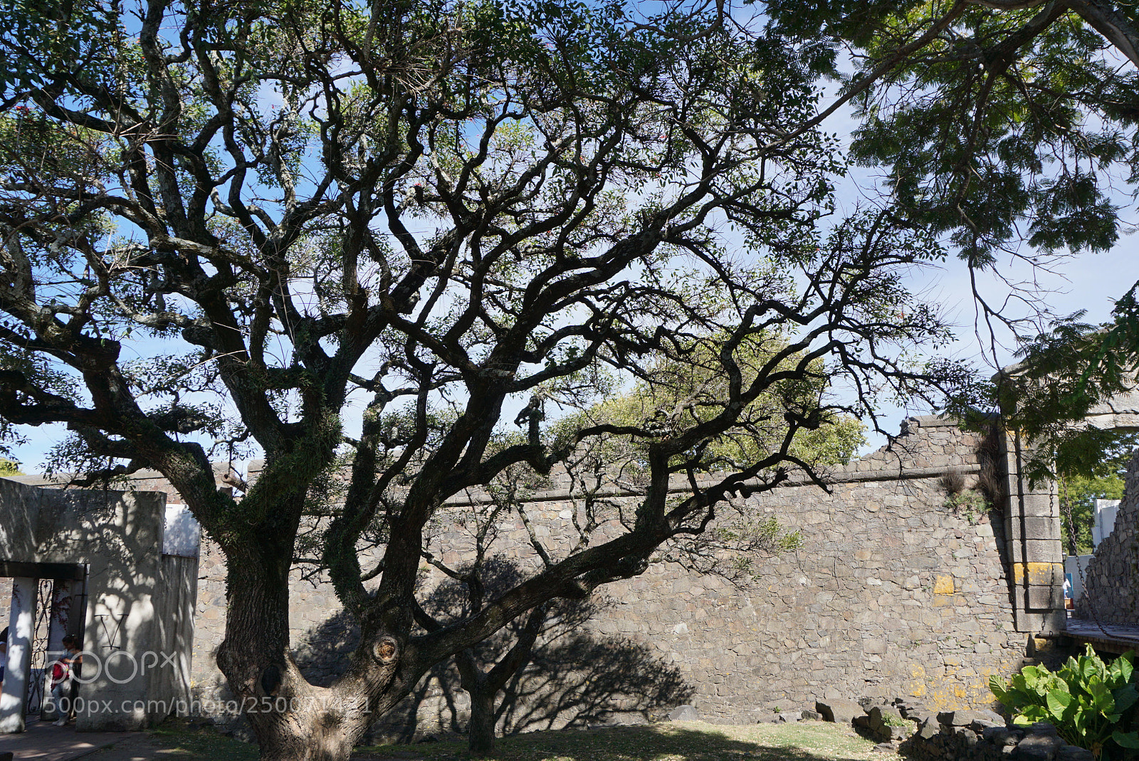 Sony a6000 sample photo. Colonia del sacramento uruguay photography