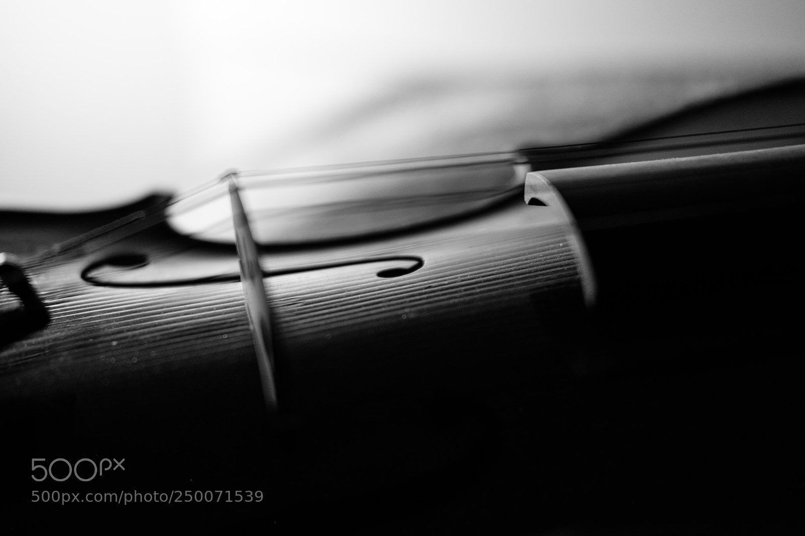 Fujifilm X-T2 sample photo. My violin photography
