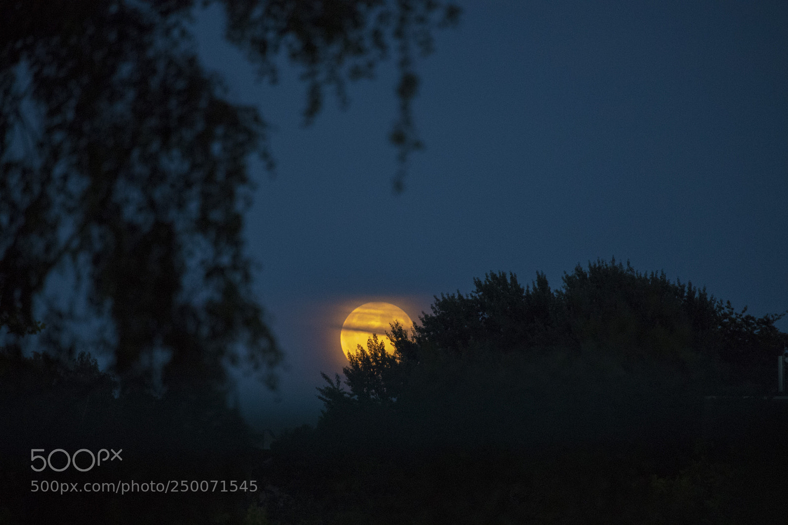 Canon EOS 6D Mark II sample photo. Rising full moon photography