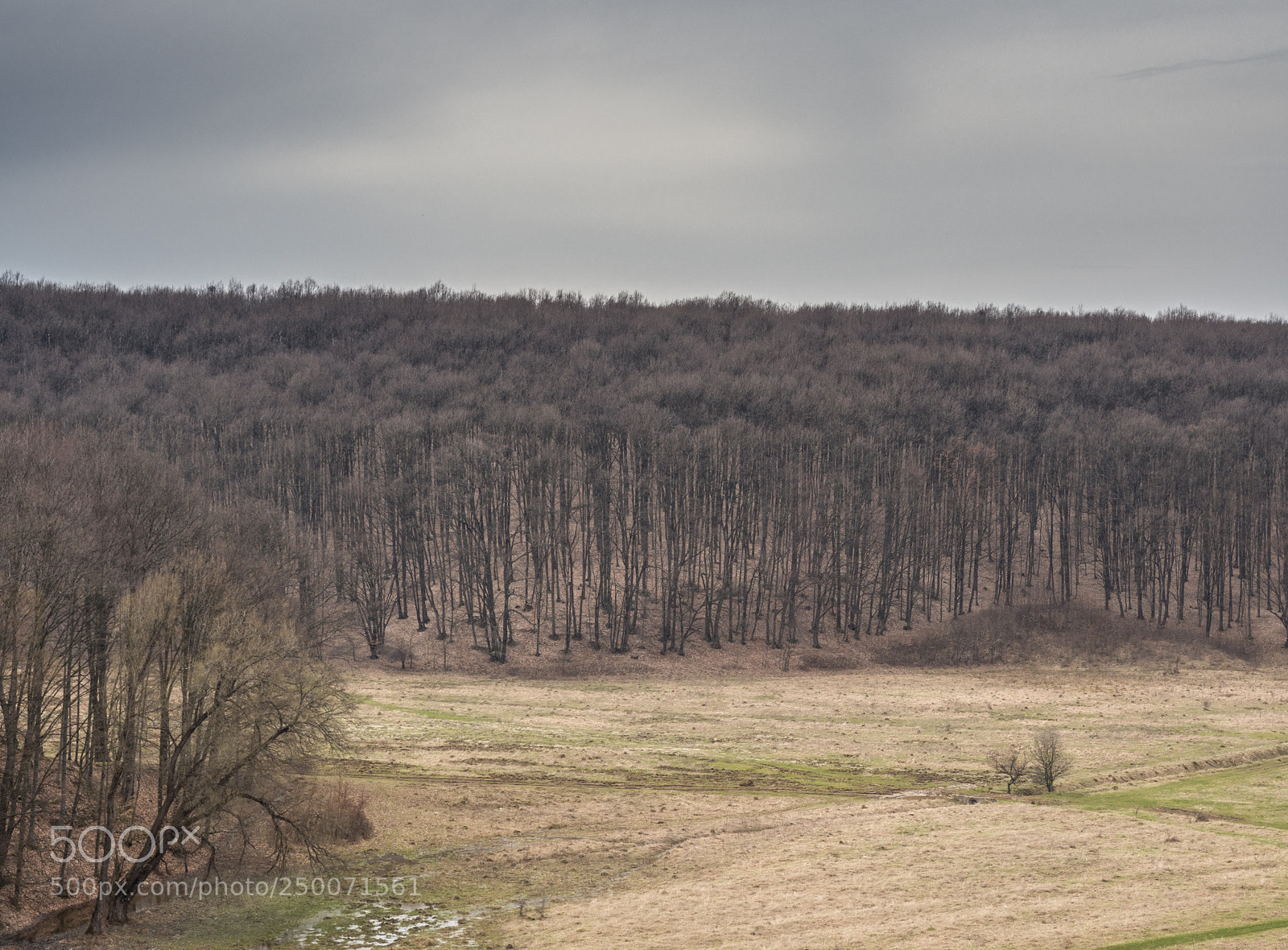 Olympus OM-D E-M10 II sample photo. Among the hills photography