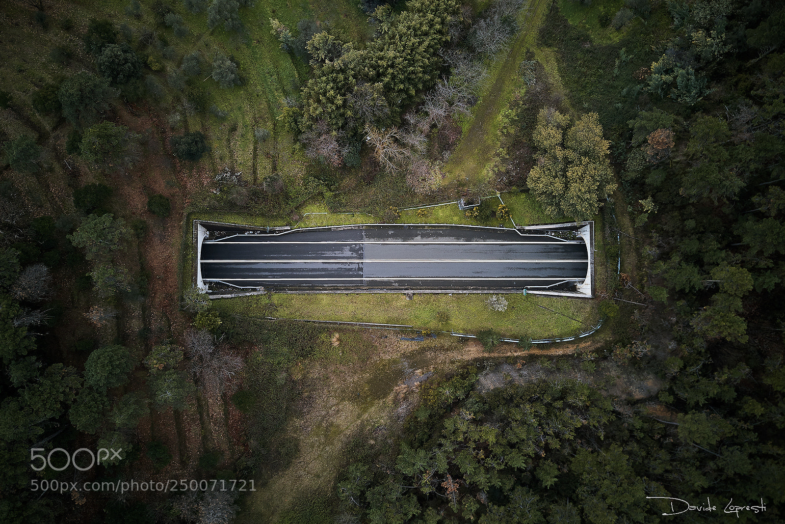 DJI FC220 sample photo. Green road photography