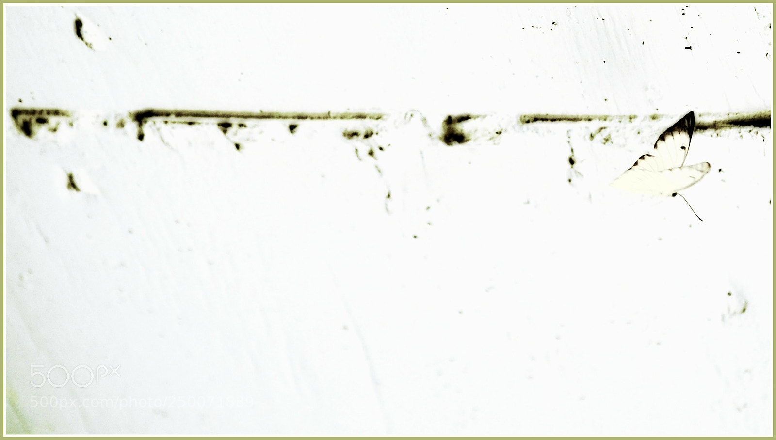 Nikon D5300 sample photo. "buenas... ;-)" photography