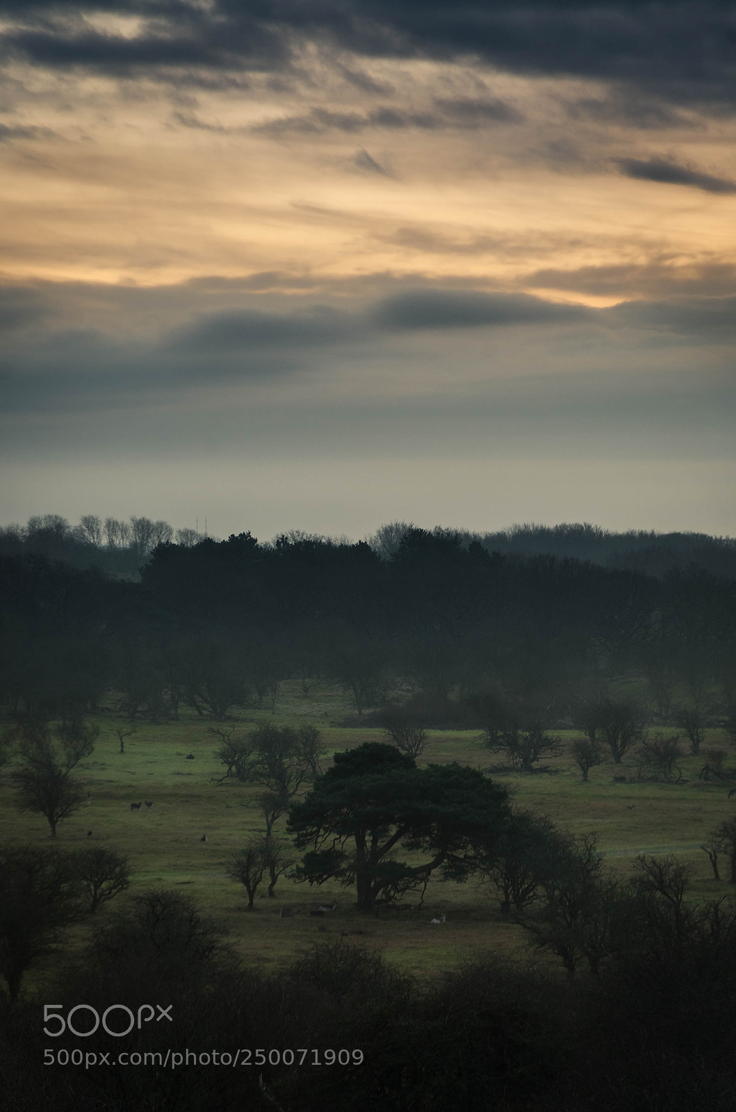 Nikon D7000 sample photo. Dunes waking up photography