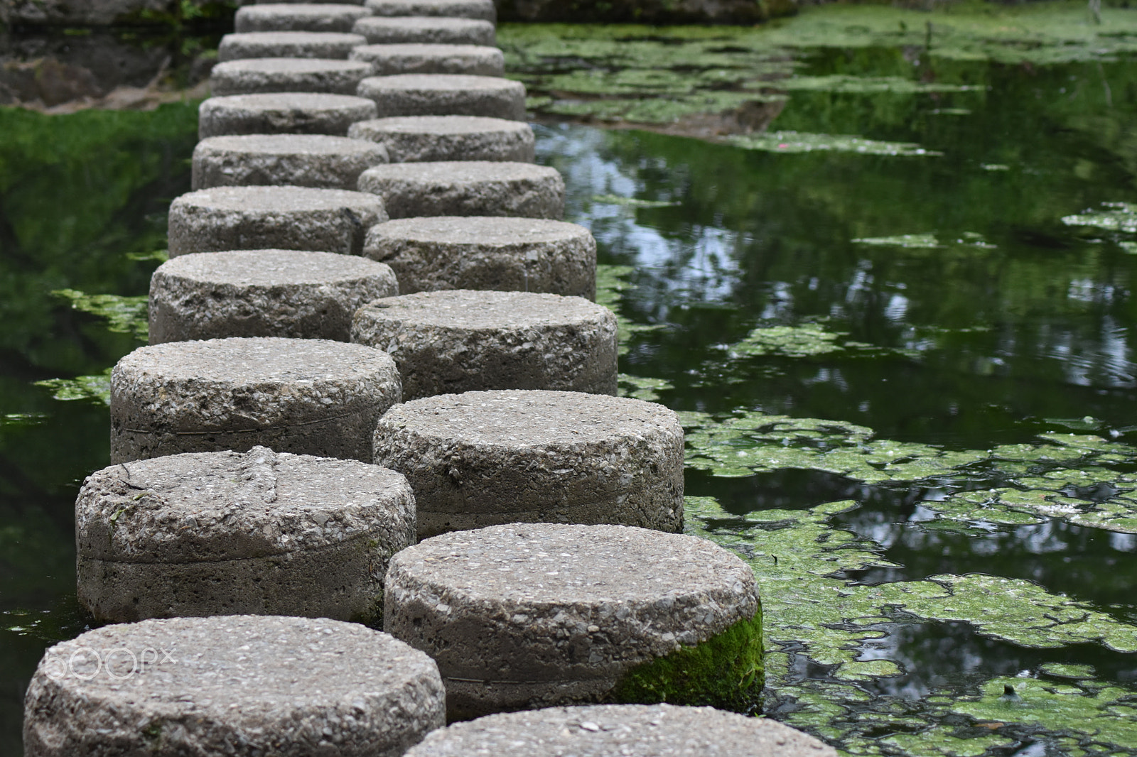 Nikon AF Nikkor 70-300mm F4-5.6G sample photo. The stepping stones we always need, as they form a path so that it's easy to go from one side to... photography