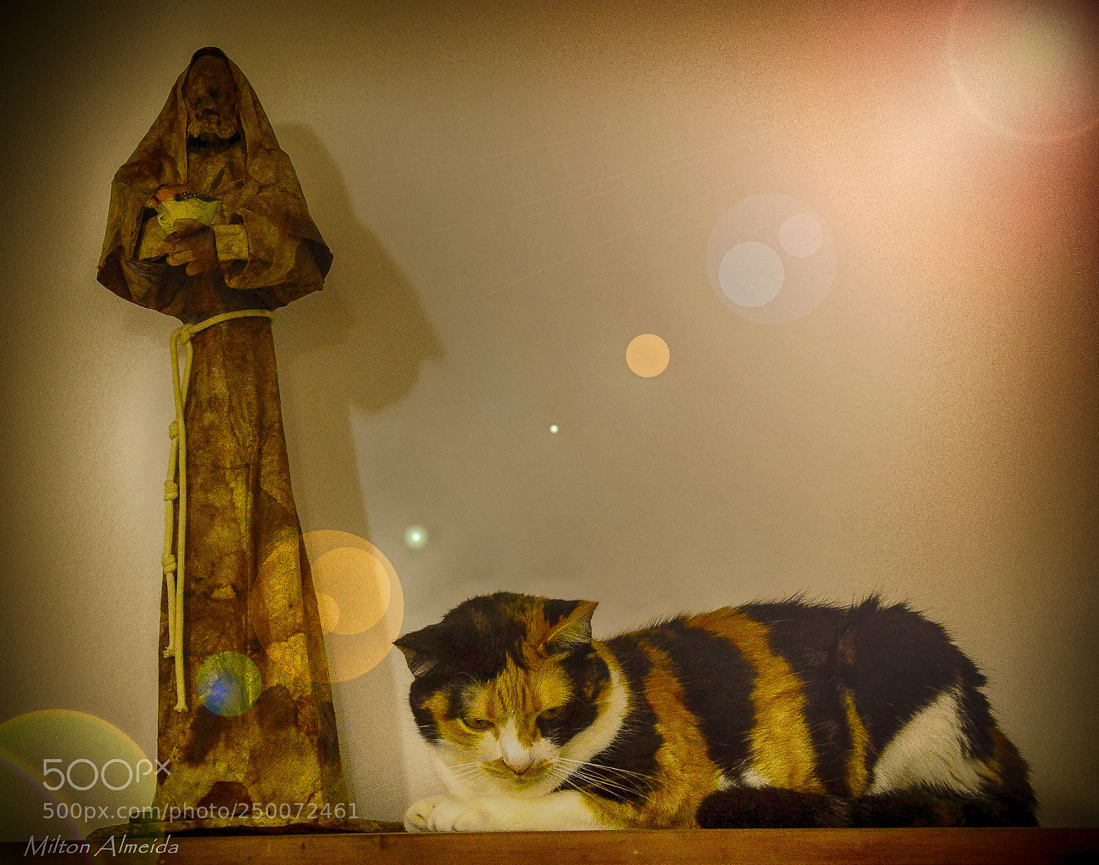 Nikon D3200 sample photo. Lights photography