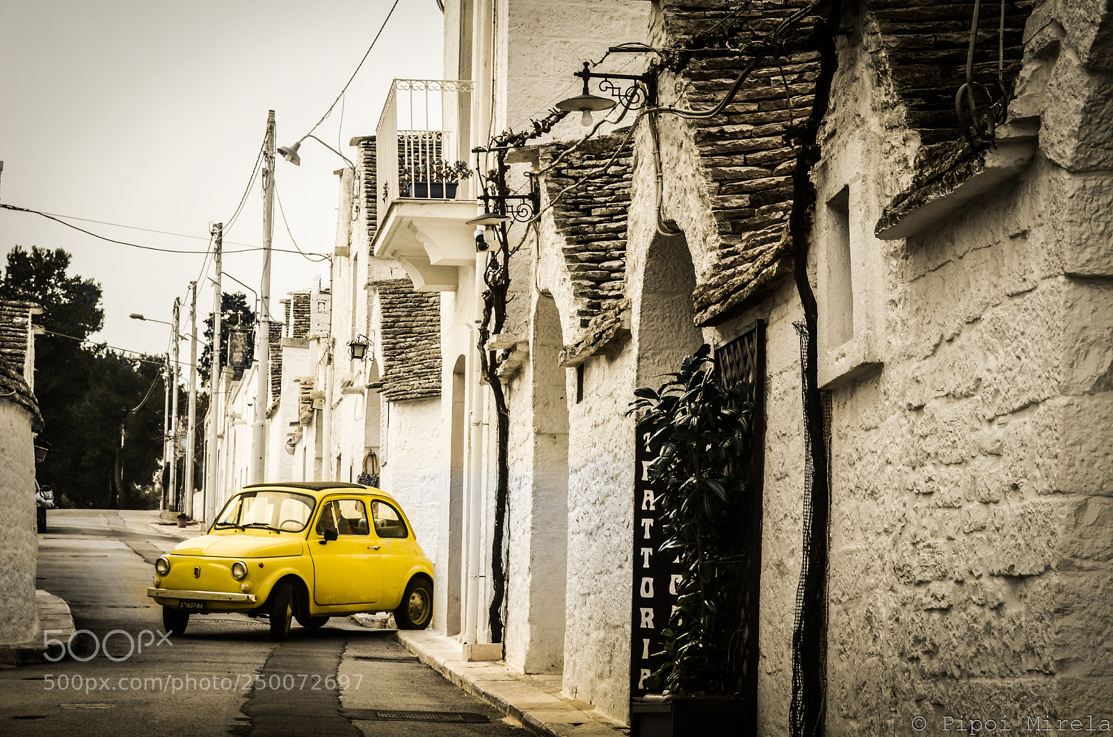 Nikon D5100 sample photo. Life in alberobelo photography