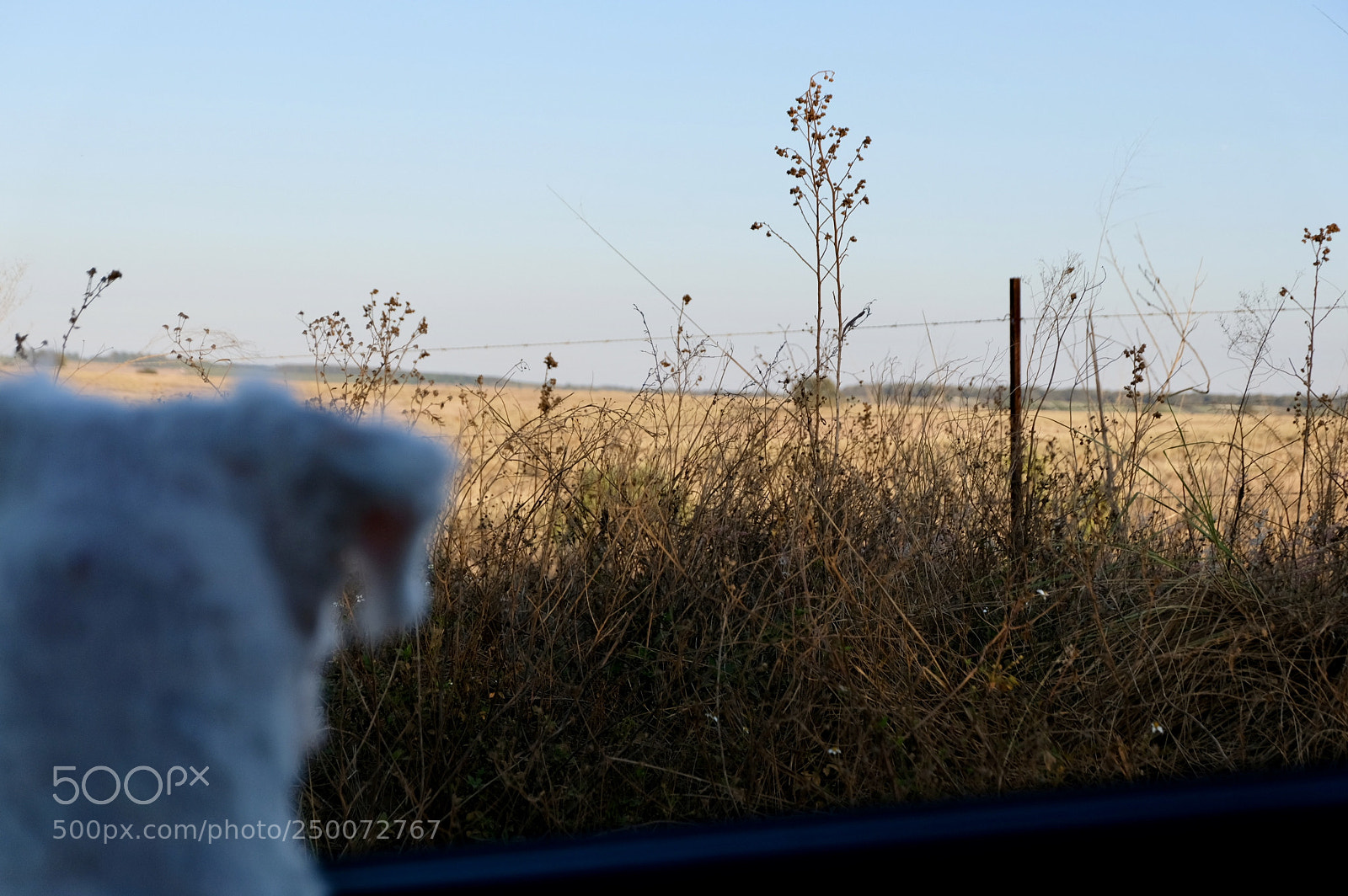 Fujifilm X-T20 sample photo. Curiosity photography