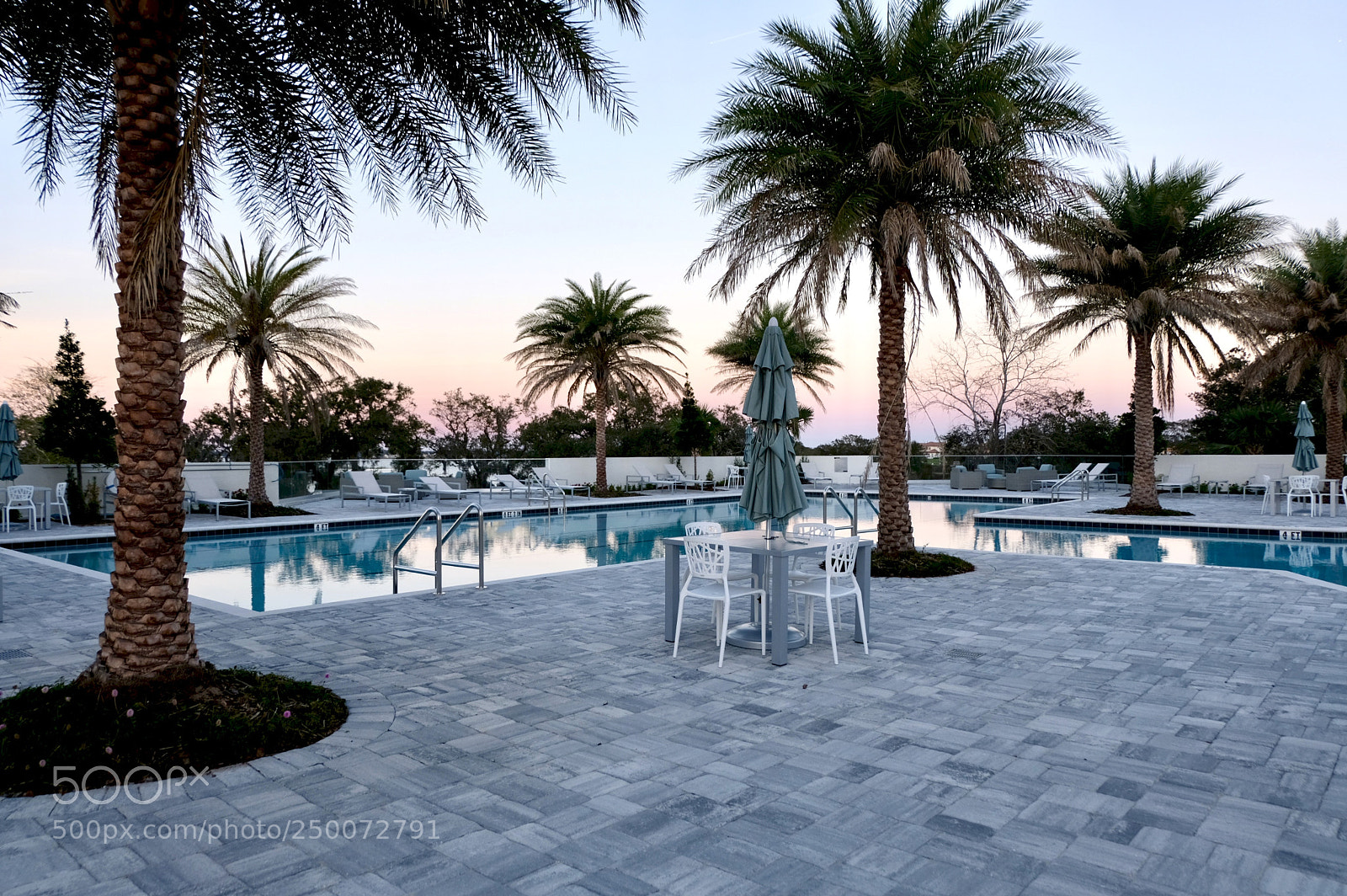 Fujifilm X-T20 sample photo. The hearts of palms photography