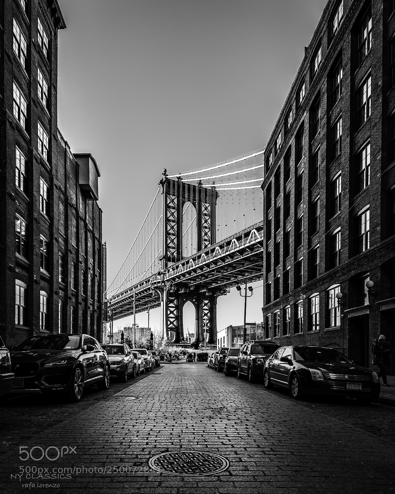 Nikon D810 sample photo. Ny classics photography