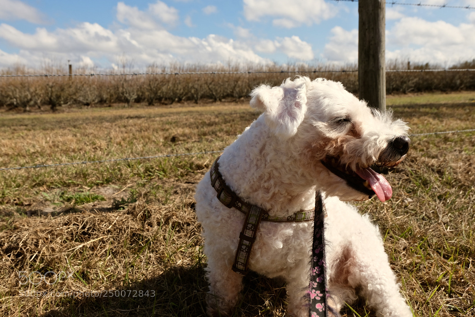 Fujifilm X-T20 sample photo. Freedom = being outdoors photography