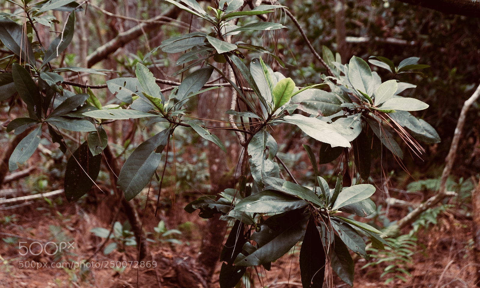Fujifilm X-T20 sample photo. Fullsizeoutput cd photography