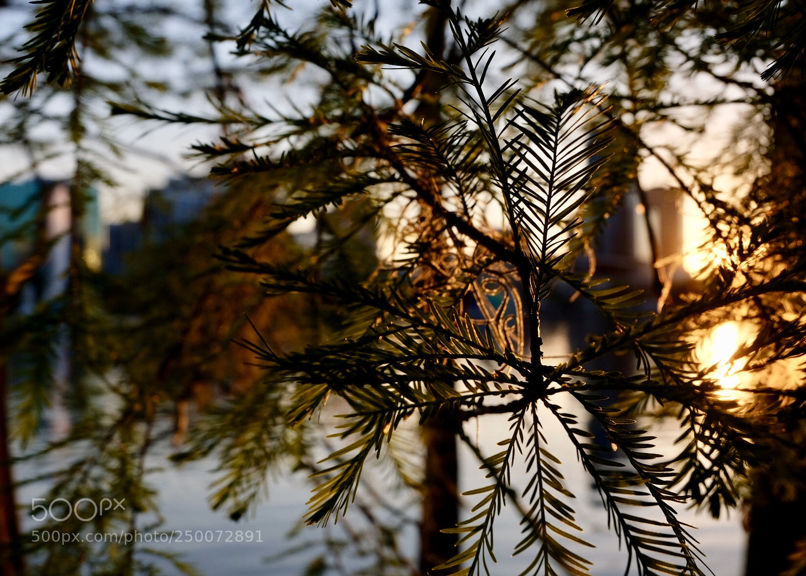 Fujifilm X-T20 sample photo. Just... pure relaxation. photography