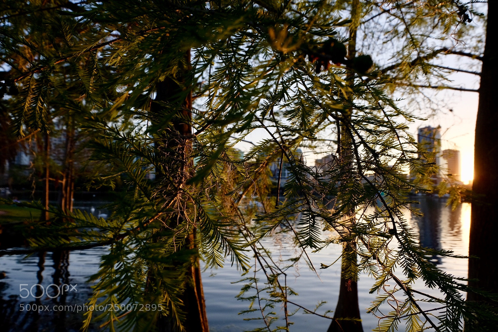 Fujifilm X-T20 sample photo. Sunsets with a view photography