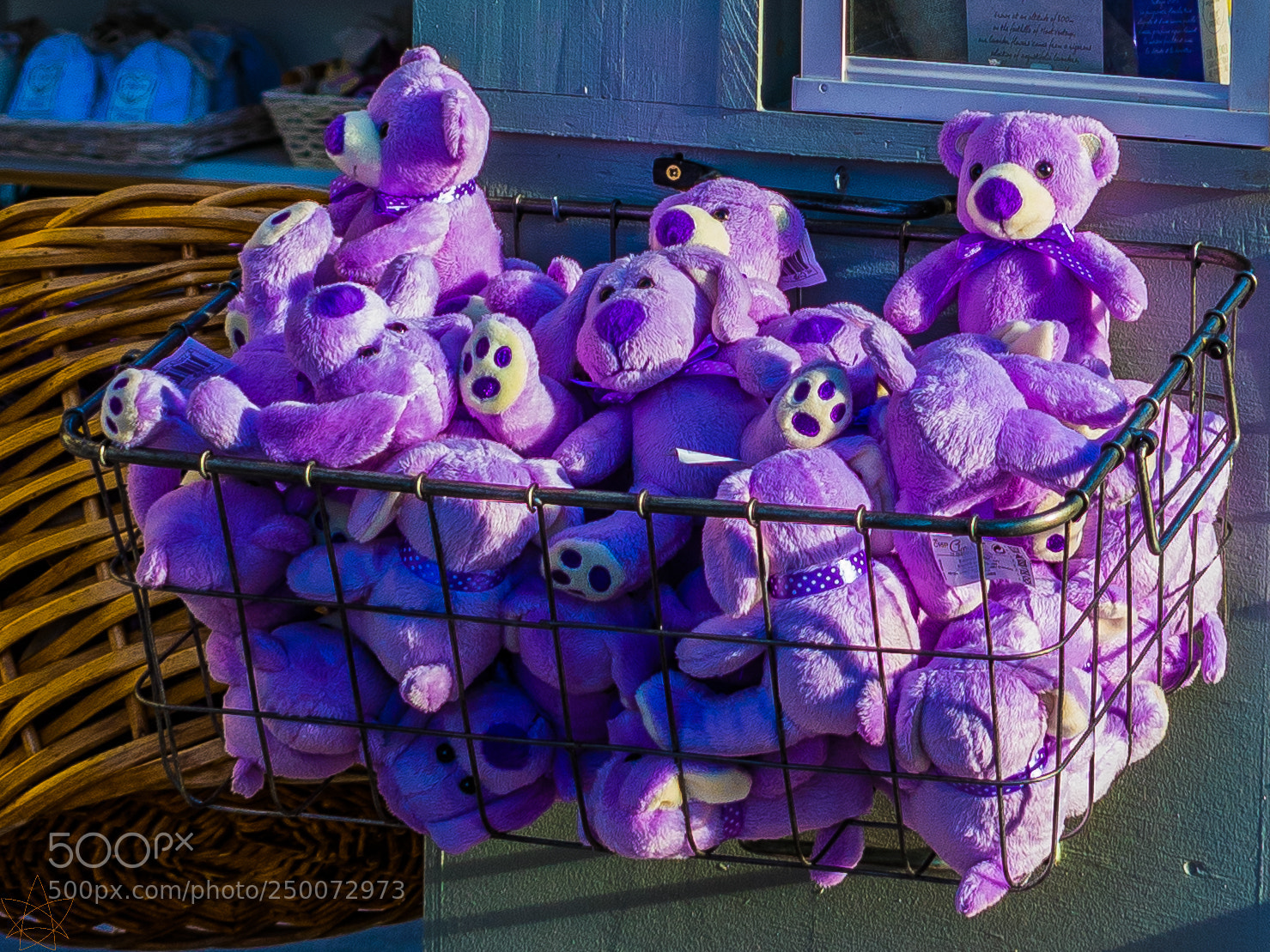 Nikon D5300 sample photo. Avignonuzes photography