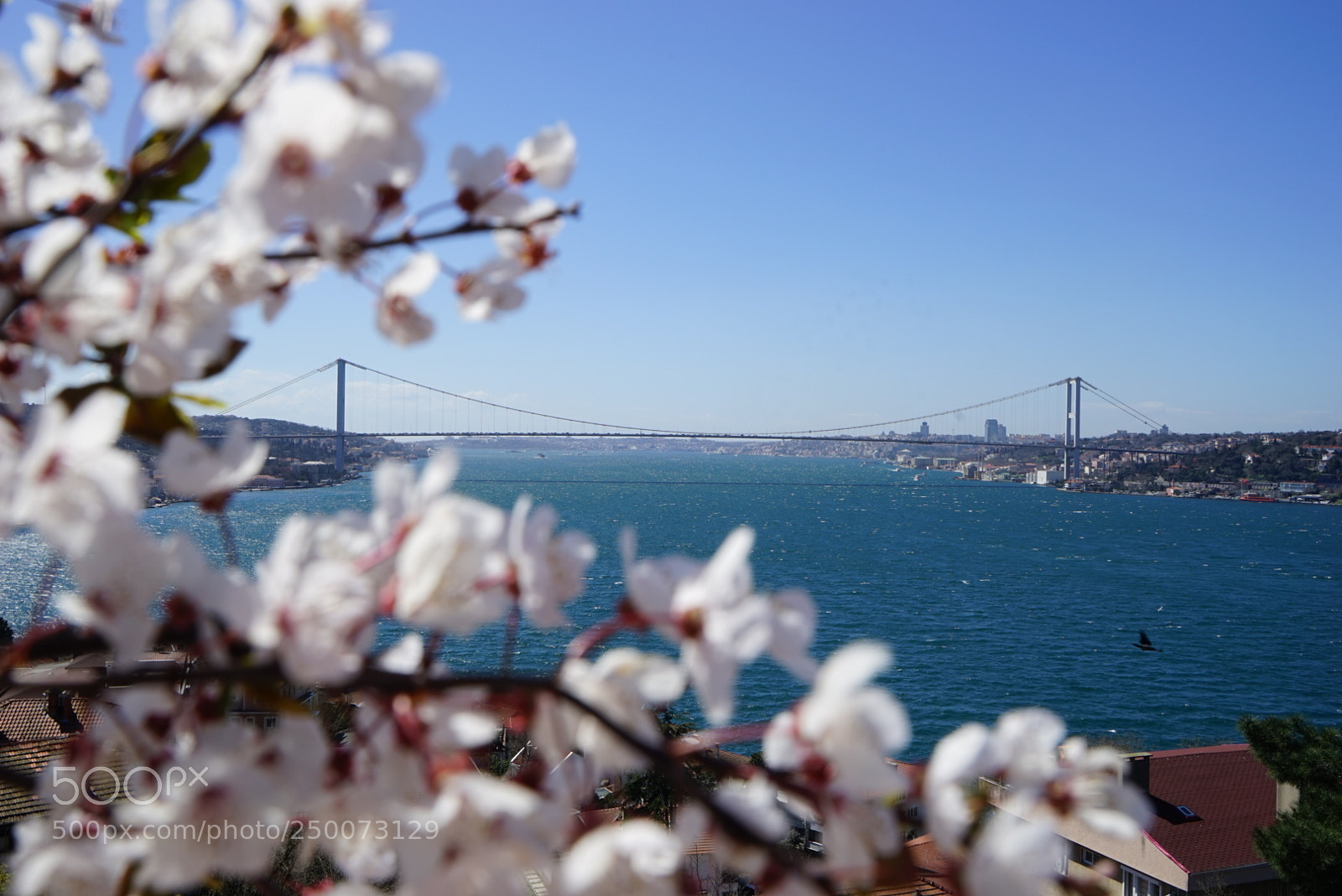 Sony a7 sample photo. Bogazin bu incisinde ilkbahar photography
