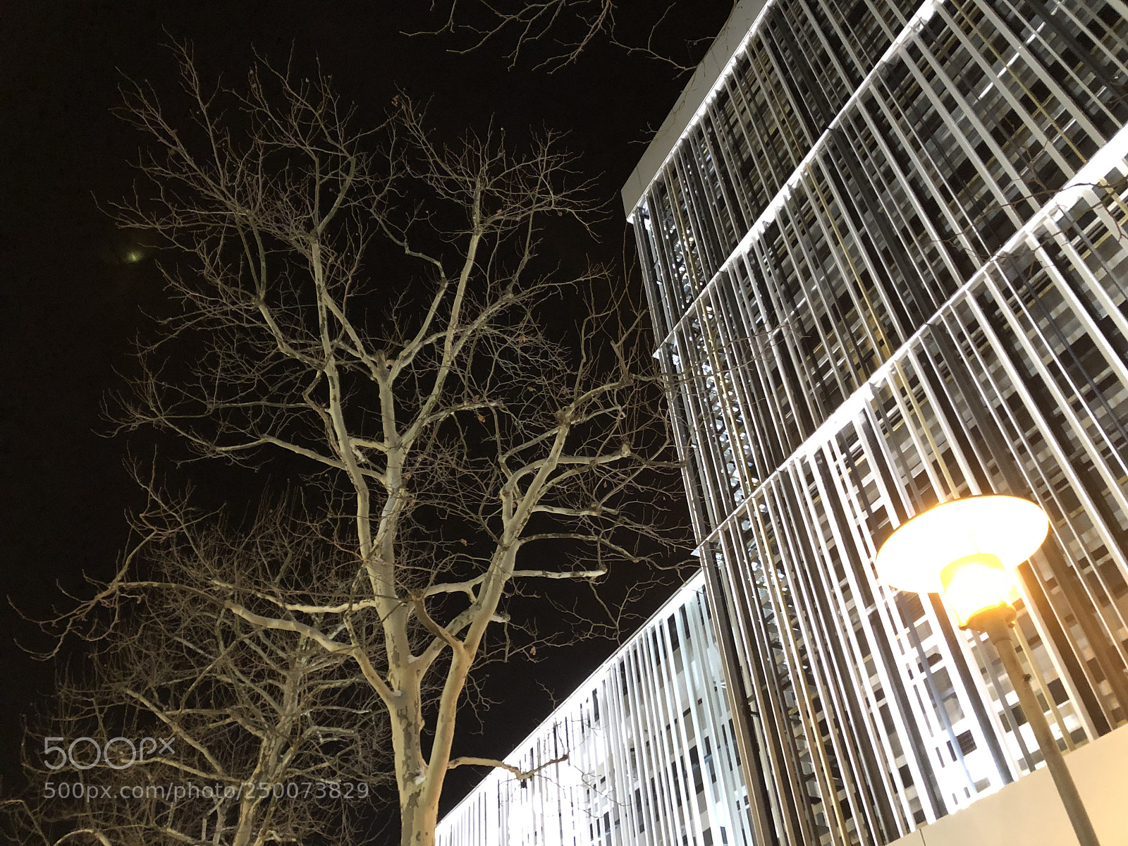 Apple iPhone 8 sample photo. #different
time photography