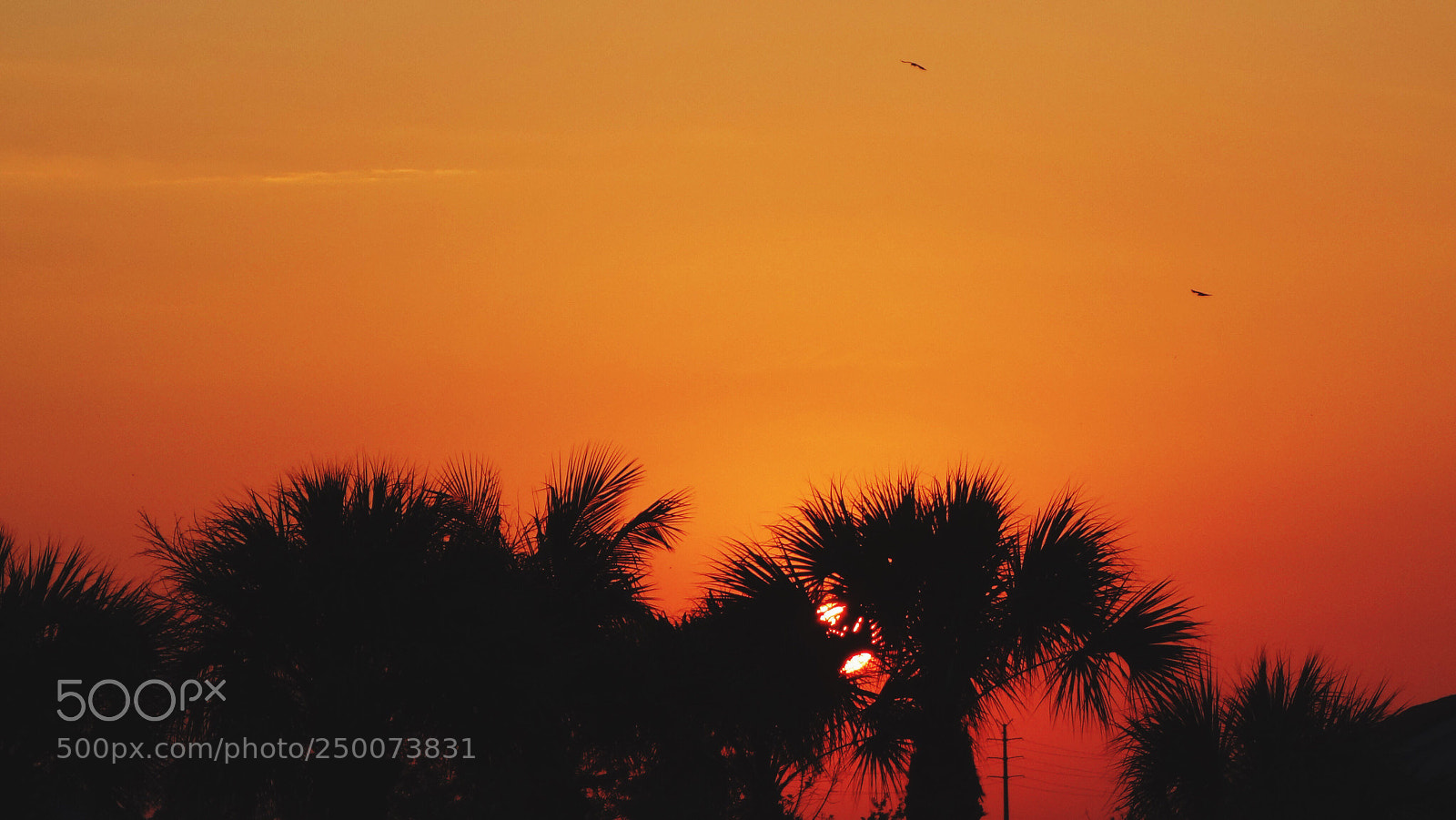 Sony Cyber-shot DSC-RX100 II sample photo. Last sunset of winter  photography