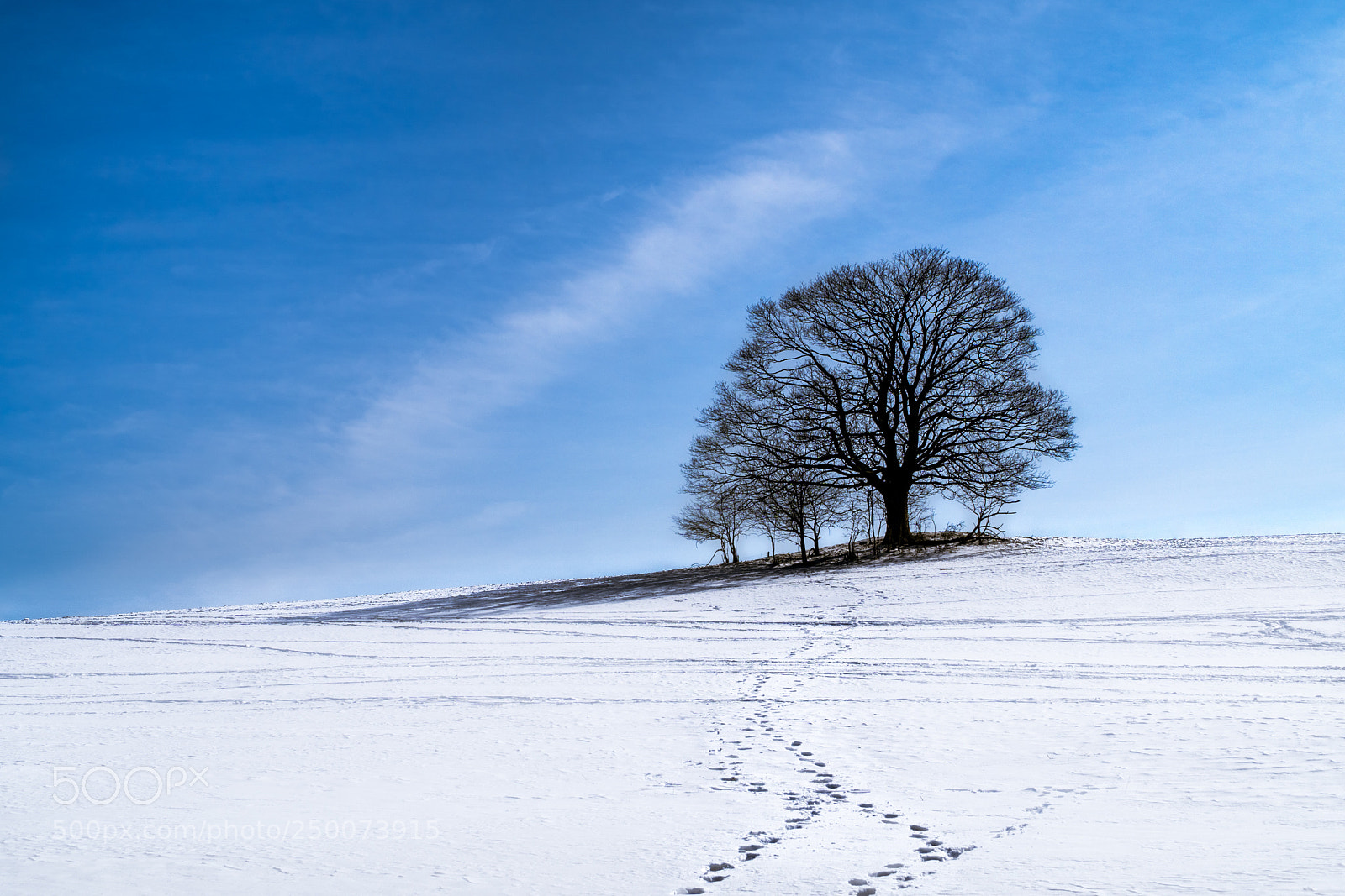 Sony a6000 sample photo. Winter time photography
