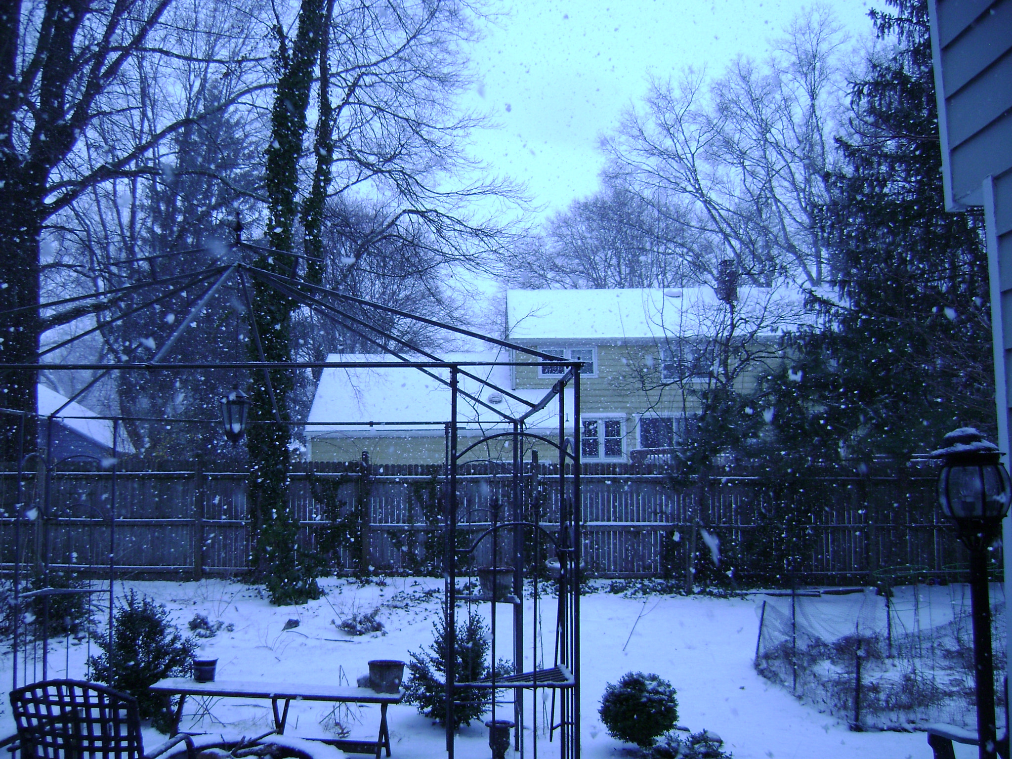 Sony DSC-S700 sample photo. Snow storm yard photography