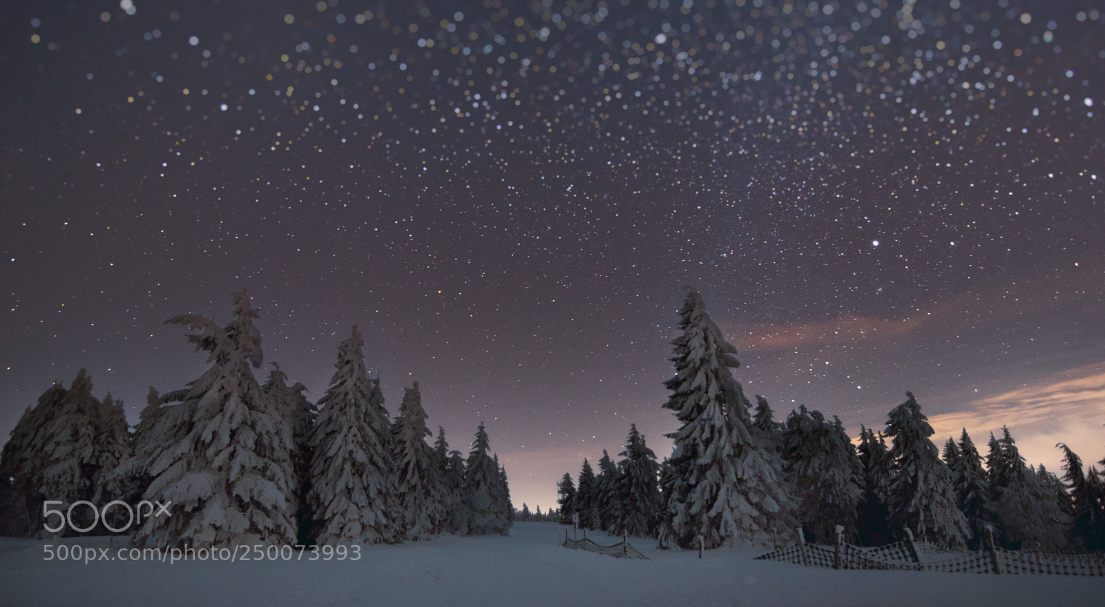 Nikon D5500 sample photo. Stars bokeh photography