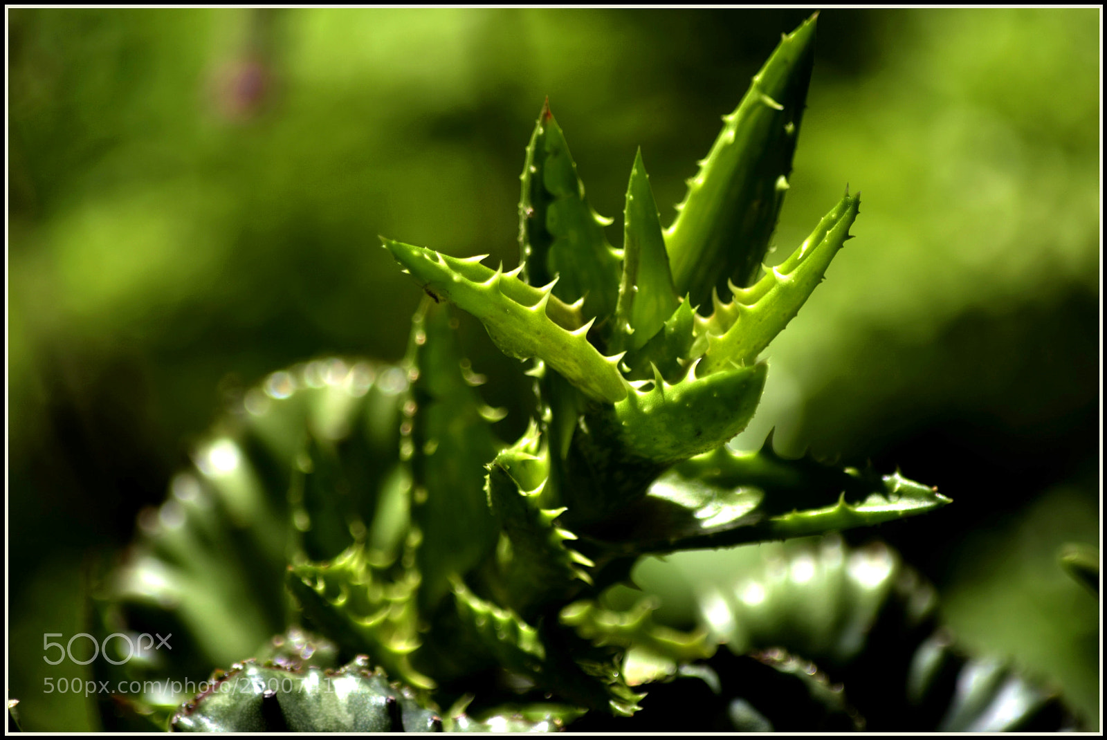 Nikon D5300 sample photo. Untitled photography