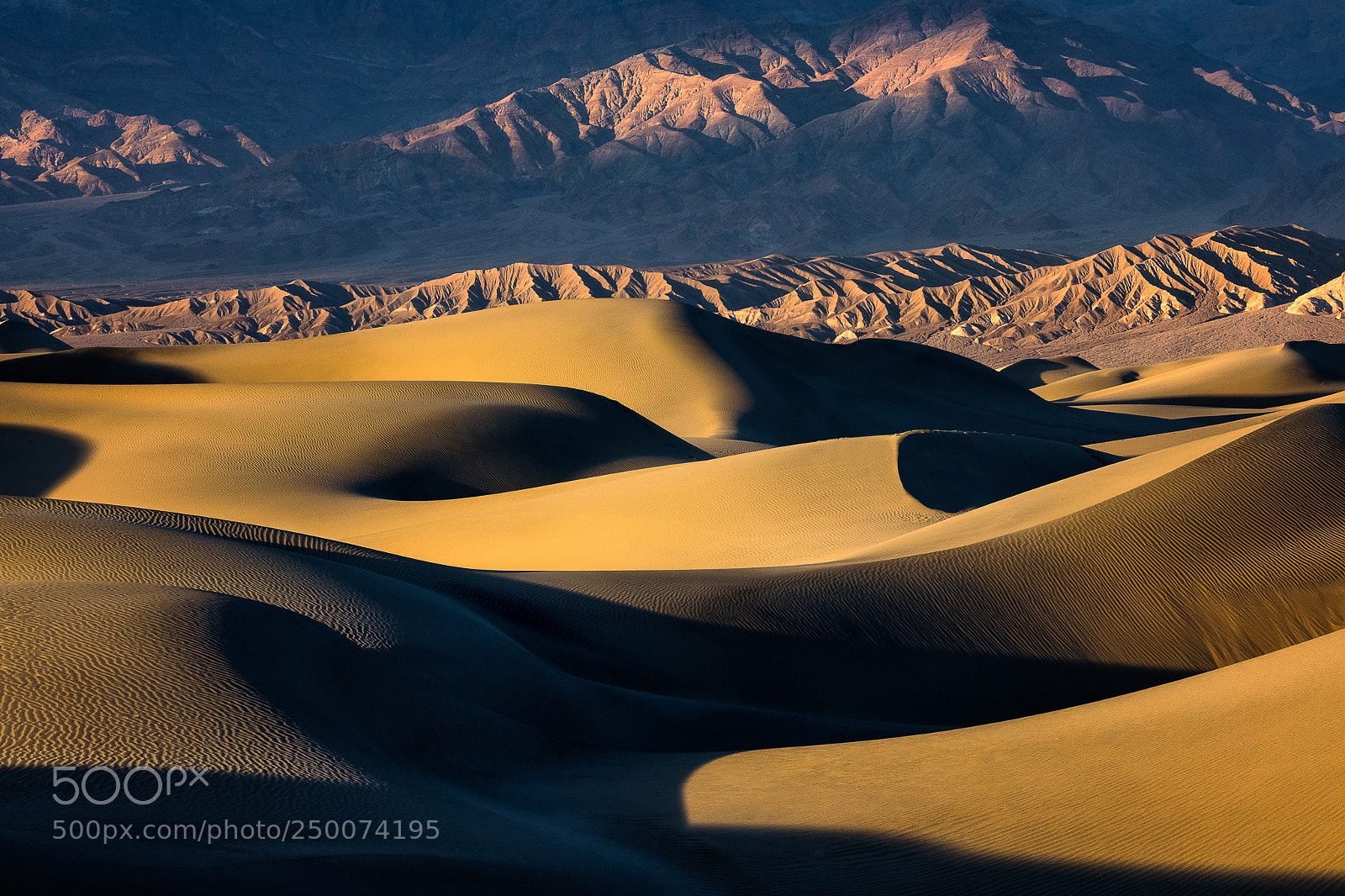 Canon EOS 5D Mark IV sample photo. More dunes photography