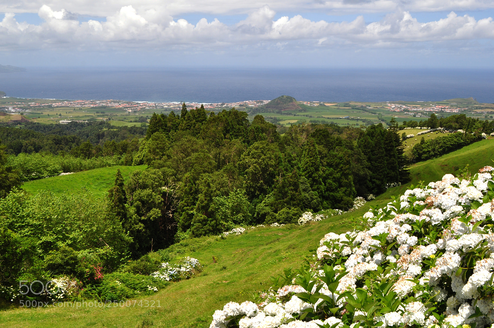 Nikon D5000 sample photo. Land of eternal spring photography