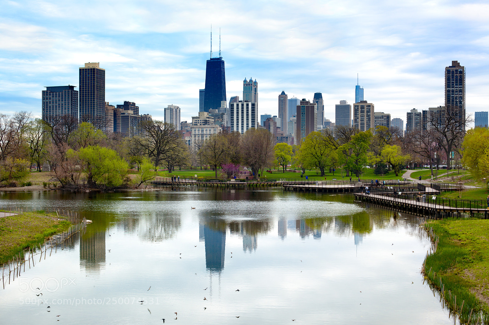 Canon EOS 5D Mark II sample photo. Chicago, illinois, united states photography