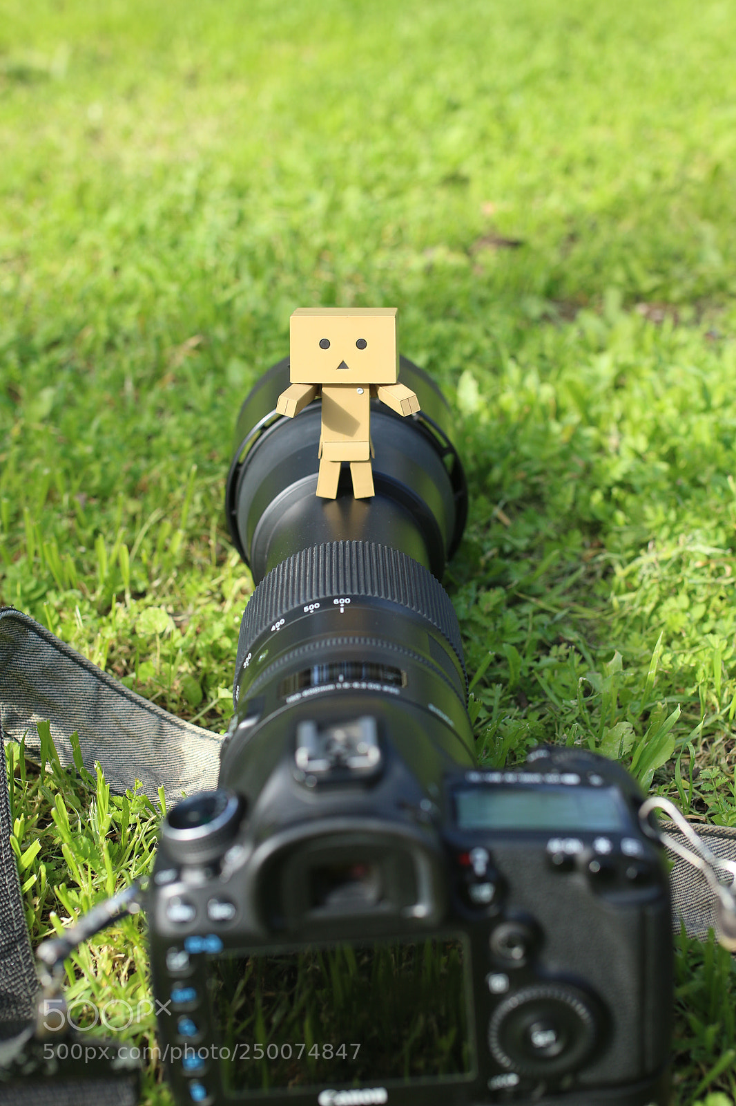 Canon EOS 7D Mark II sample photo. Danpo photography