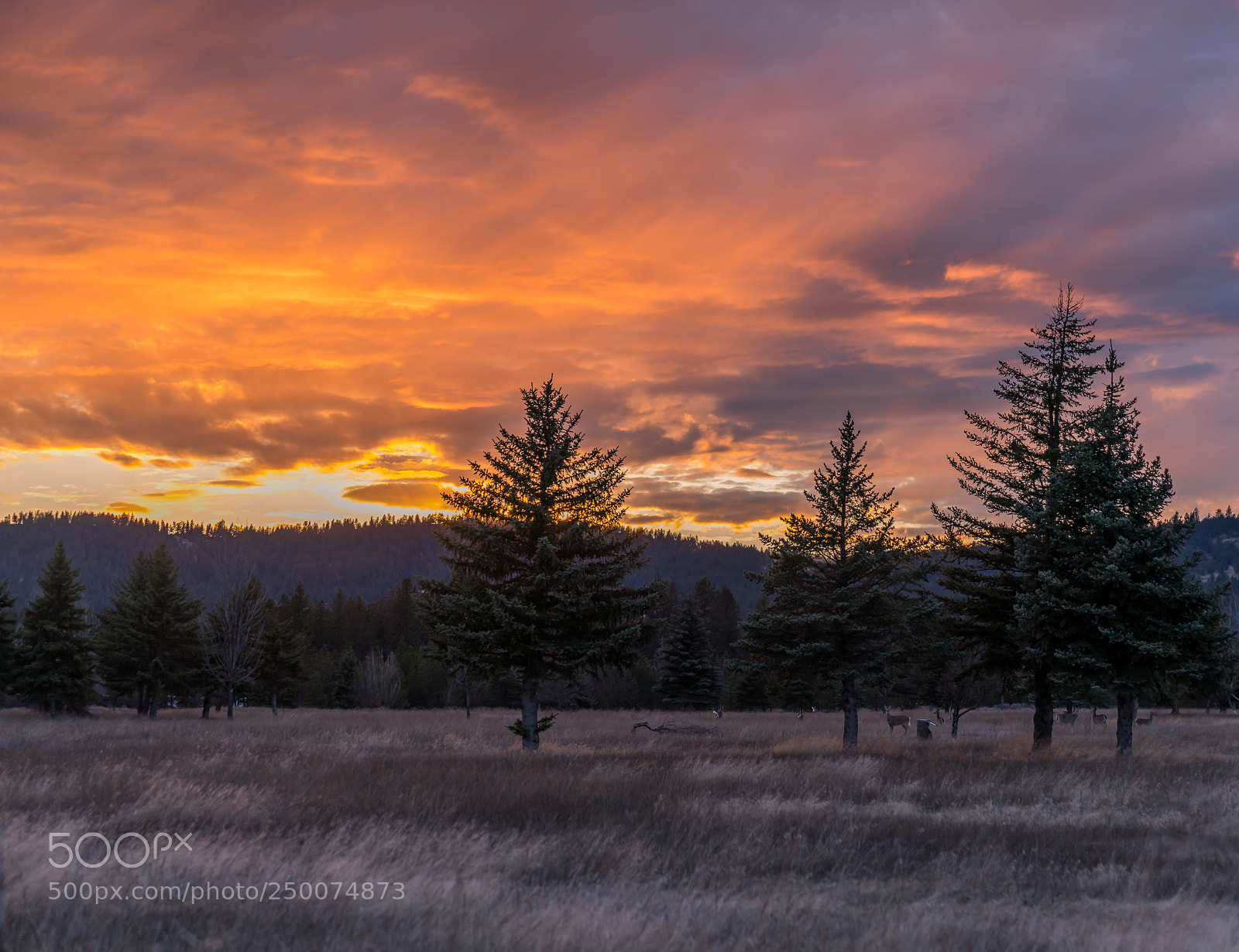 Sony a7R III sample photo. Sunset photography