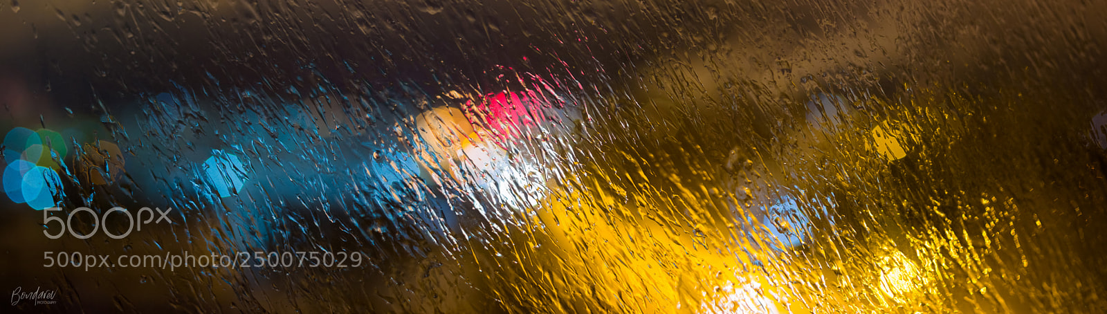 Nikon D7100 sample photo. Spring rain.. photography