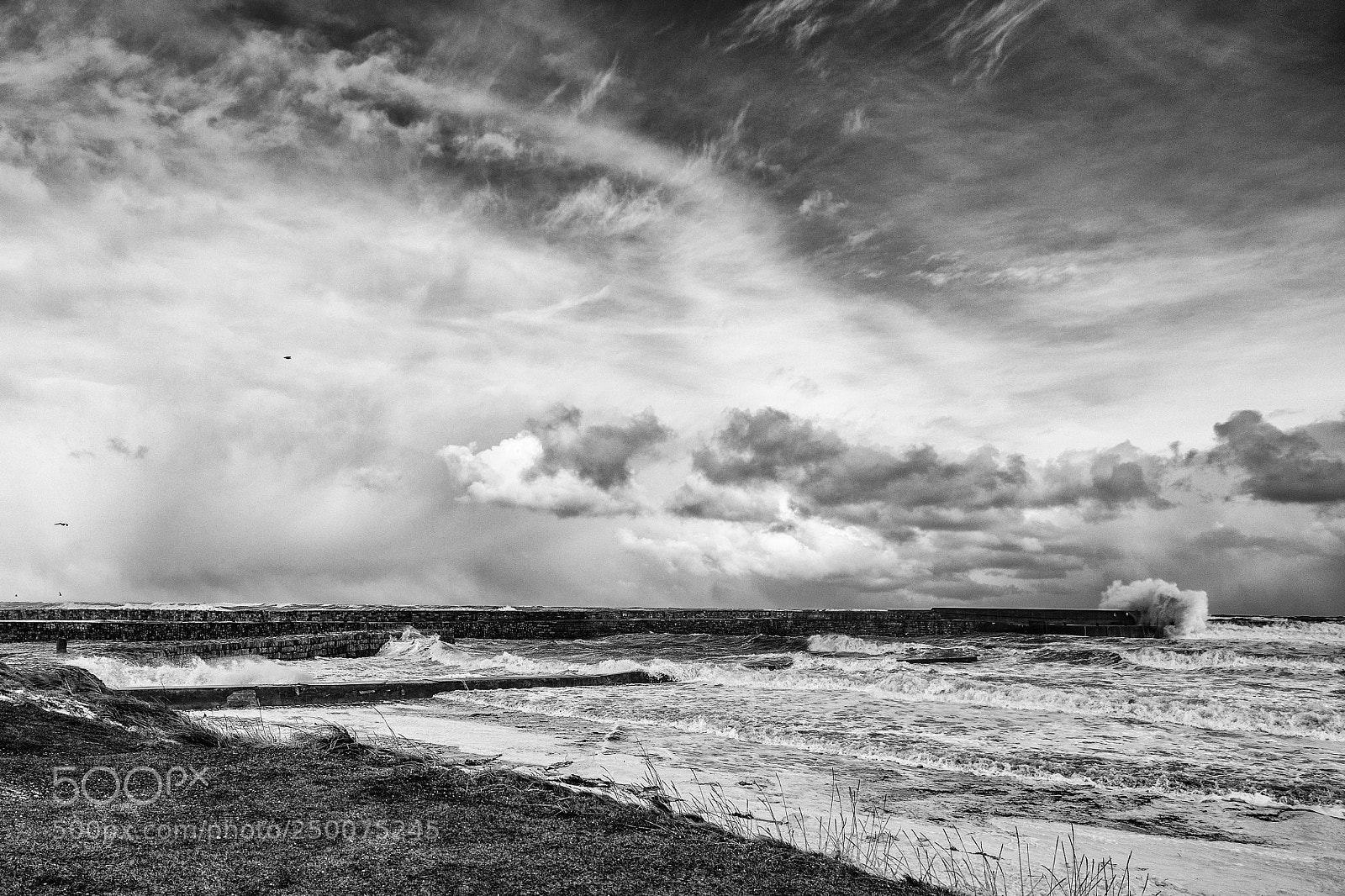 Canon EOS 6D Mark II sample photo. Wild sea photography