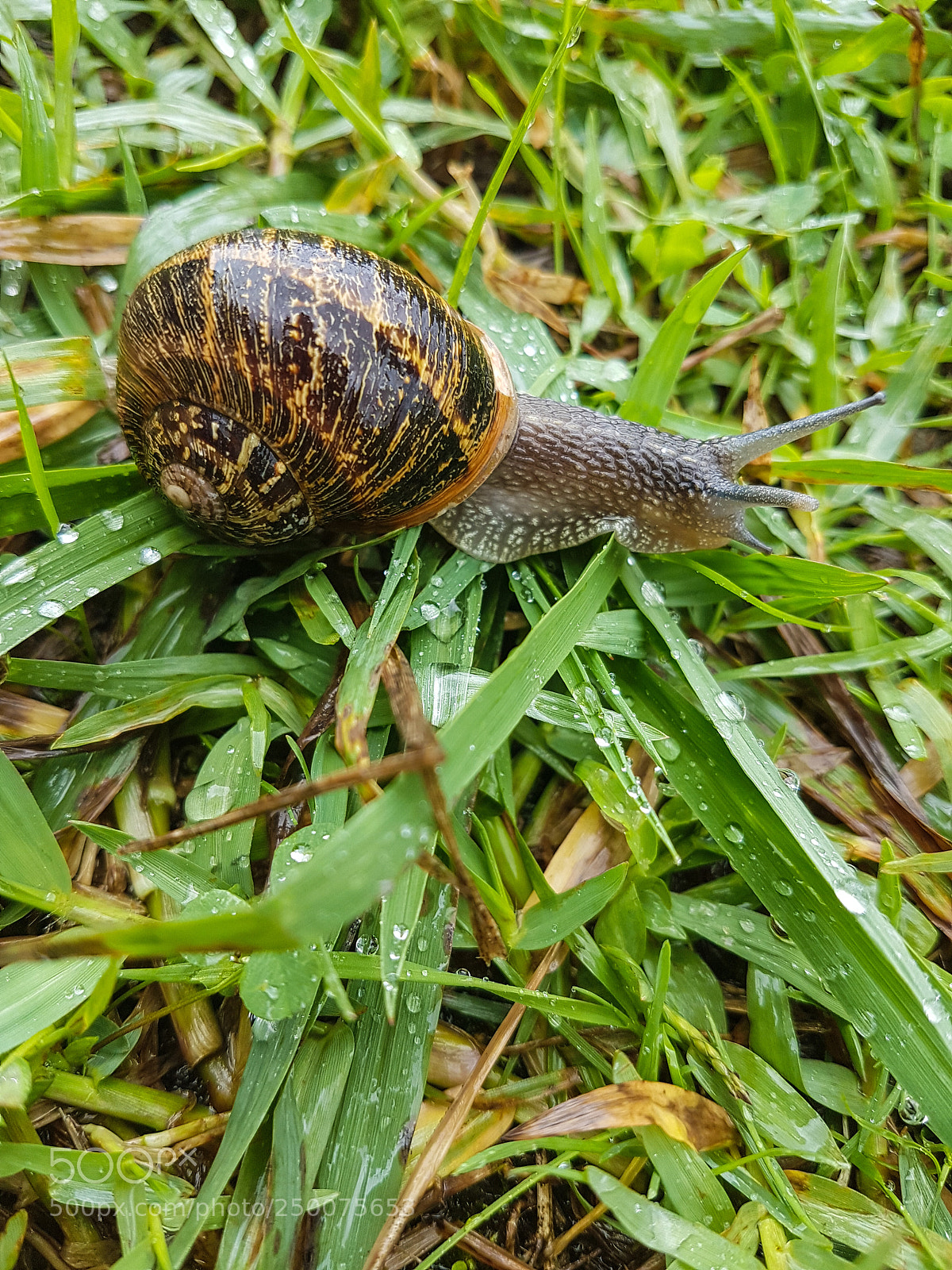 Samsung Galaxy S7 Edge sample photo. Untitled photography