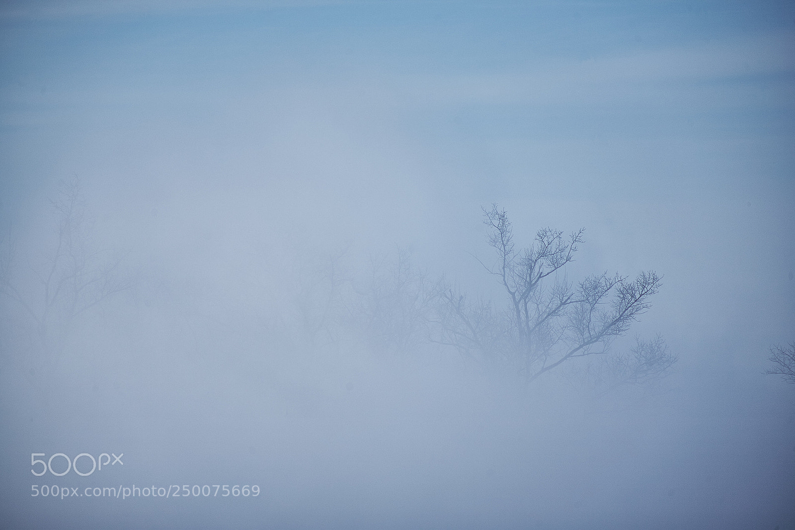 Canon EOS 5D sample photo. Fog photography