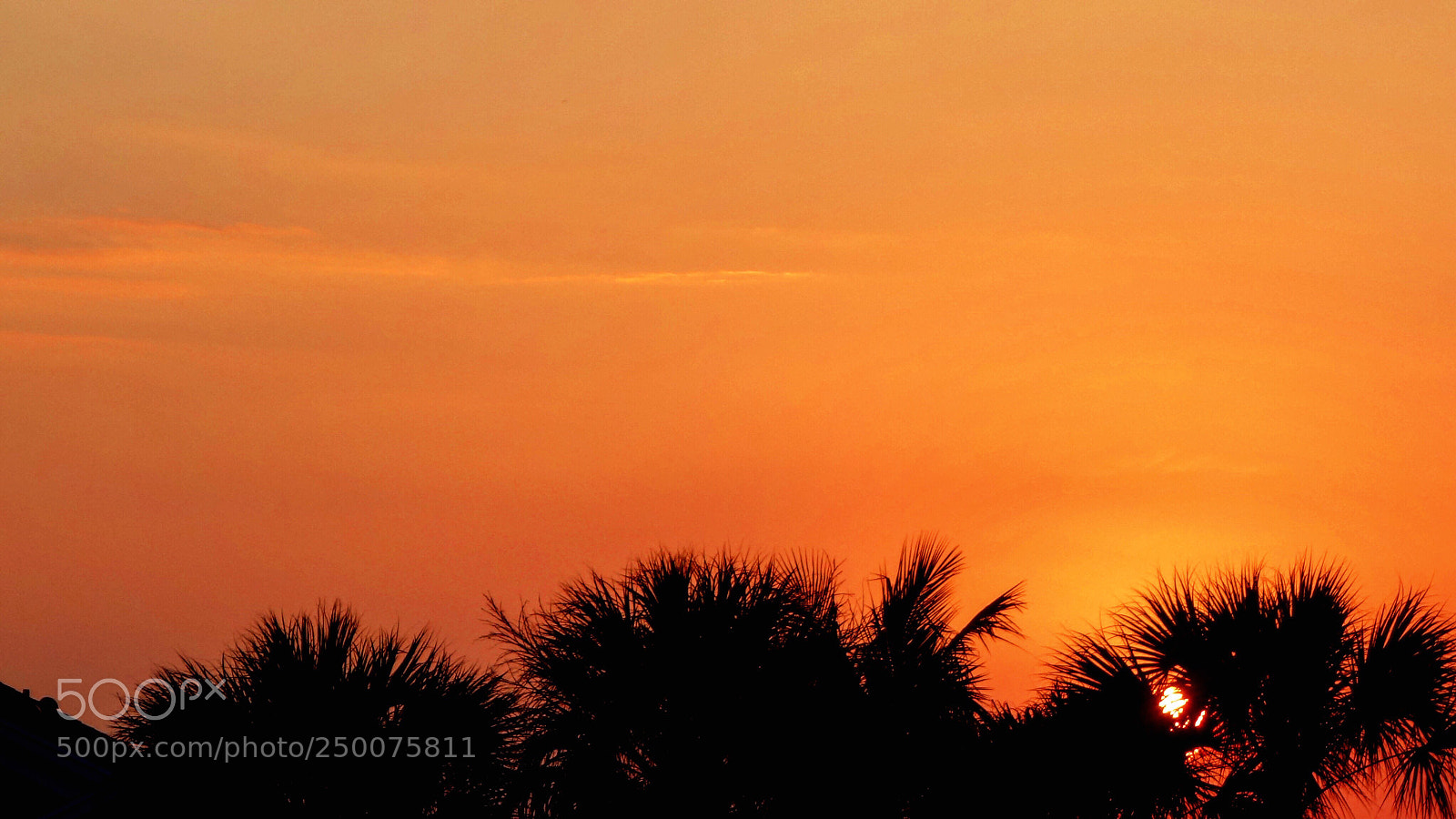 Sony Cyber-shot DSC-RX100 II sample photo. Sunset on winter photography