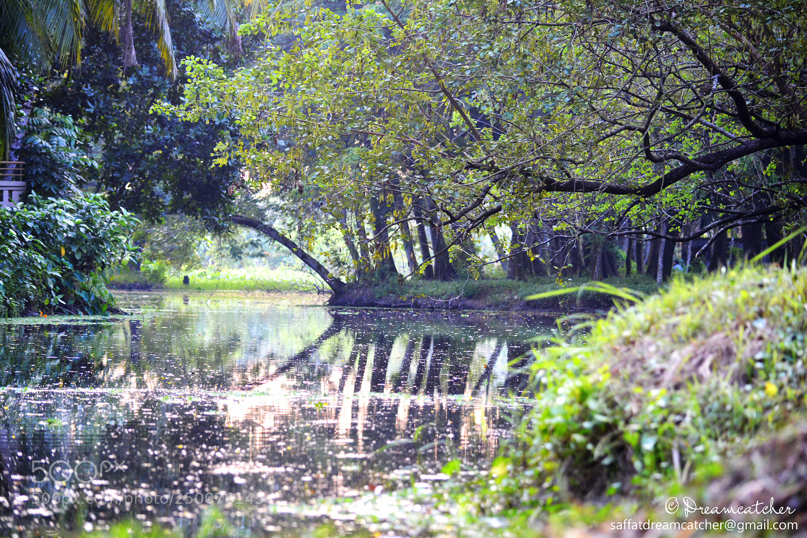Nikon D5200 sample photo. Beautiful campus lake of photography