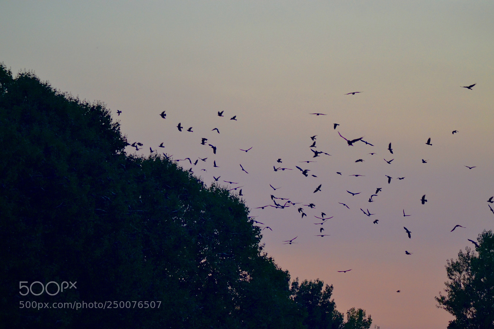 Nikon D3100 sample photo. Sleep time photography
