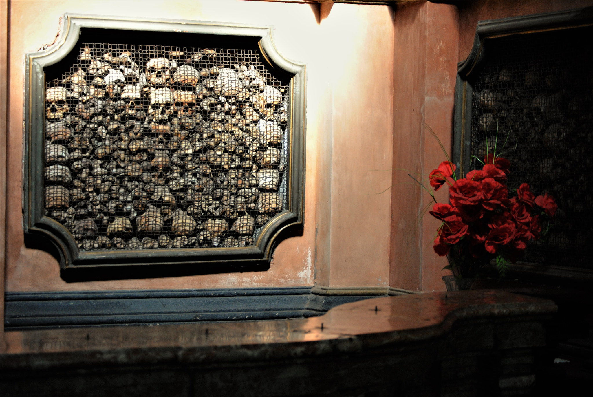 Nikon D3000 sample photo. Skulls photography