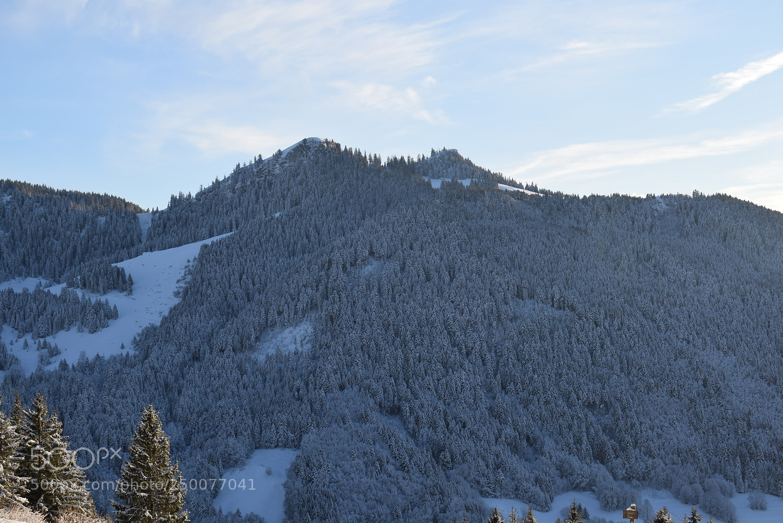 Nikon D3300 sample photo. Foret blanche photography