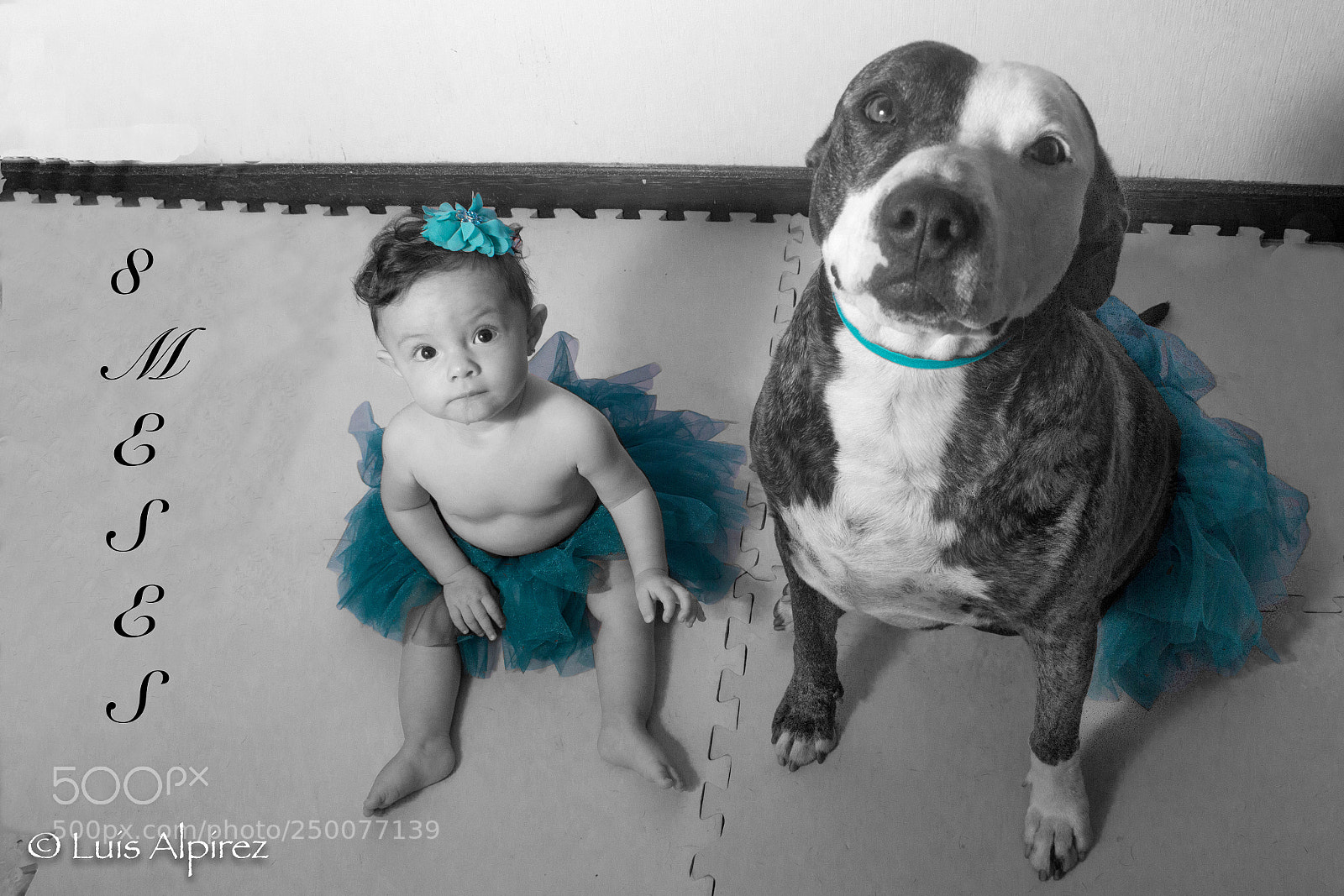 Canon EOS 60D sample photo. Ballet (8 months) photography